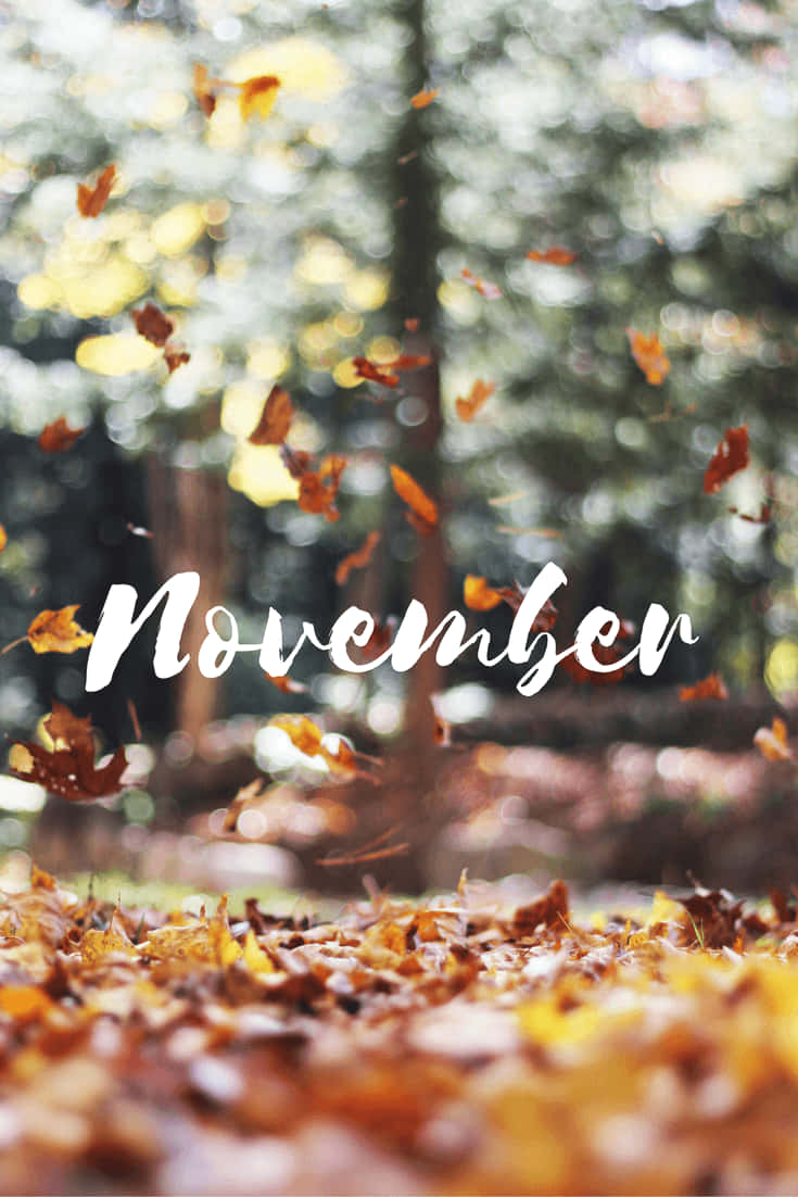 Download Cute November Fall Wallpaper