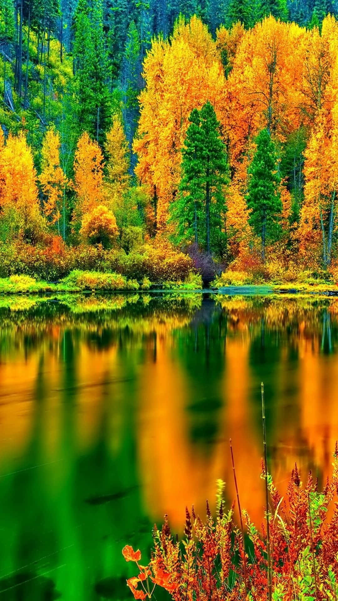 Download Serene Autumn Lake Scenery Wallpaper