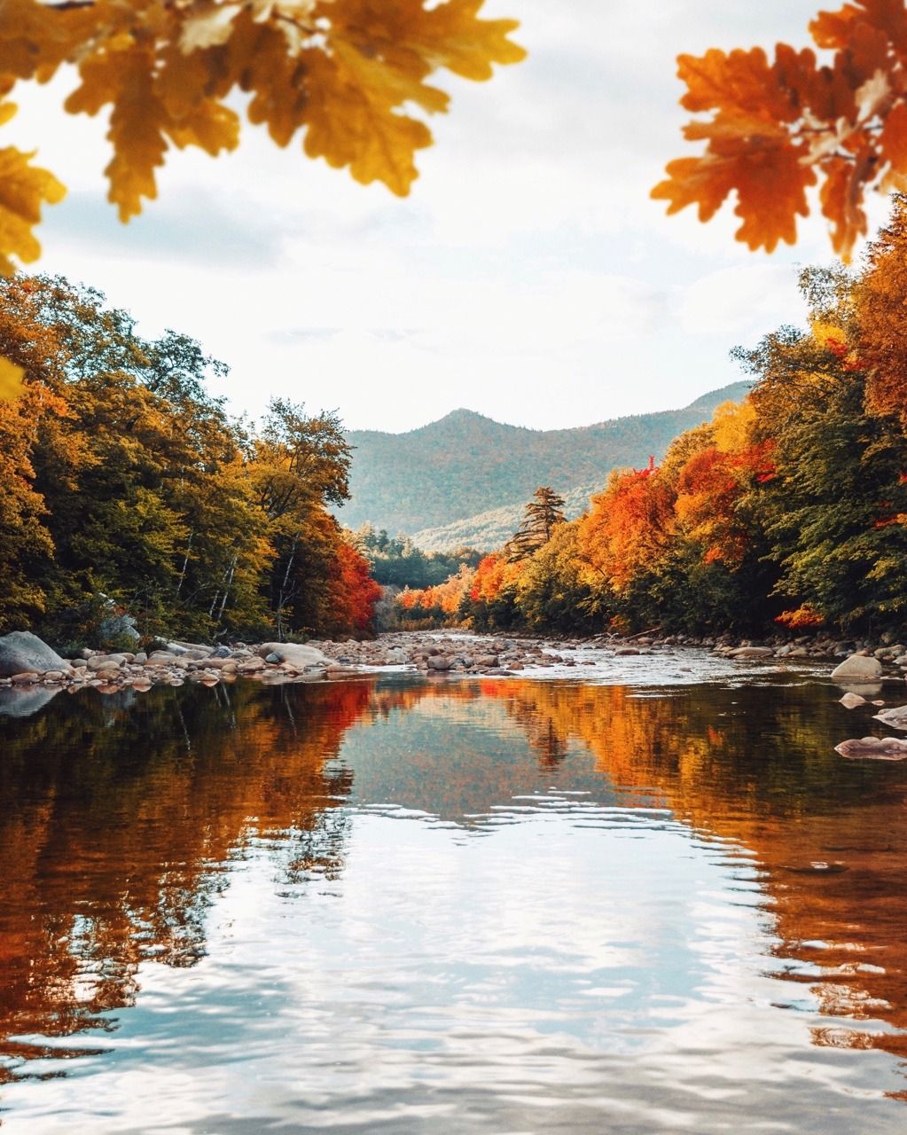 Autumn leaves reflected in a lake. Fall is such a beautiful season!. Autumn landscape, Autumn scenery, Autumn scenes