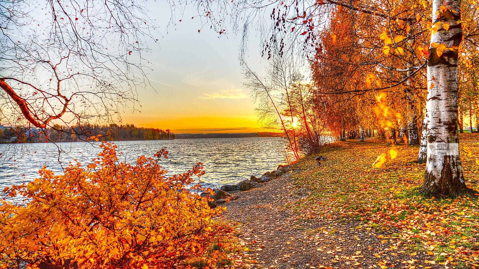 Download Serene Fall Lake Scenery Wallpaper