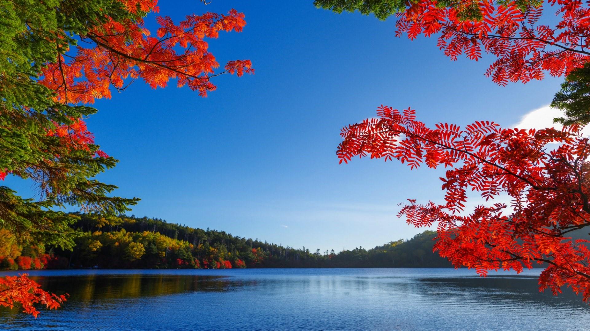 Autumn lake