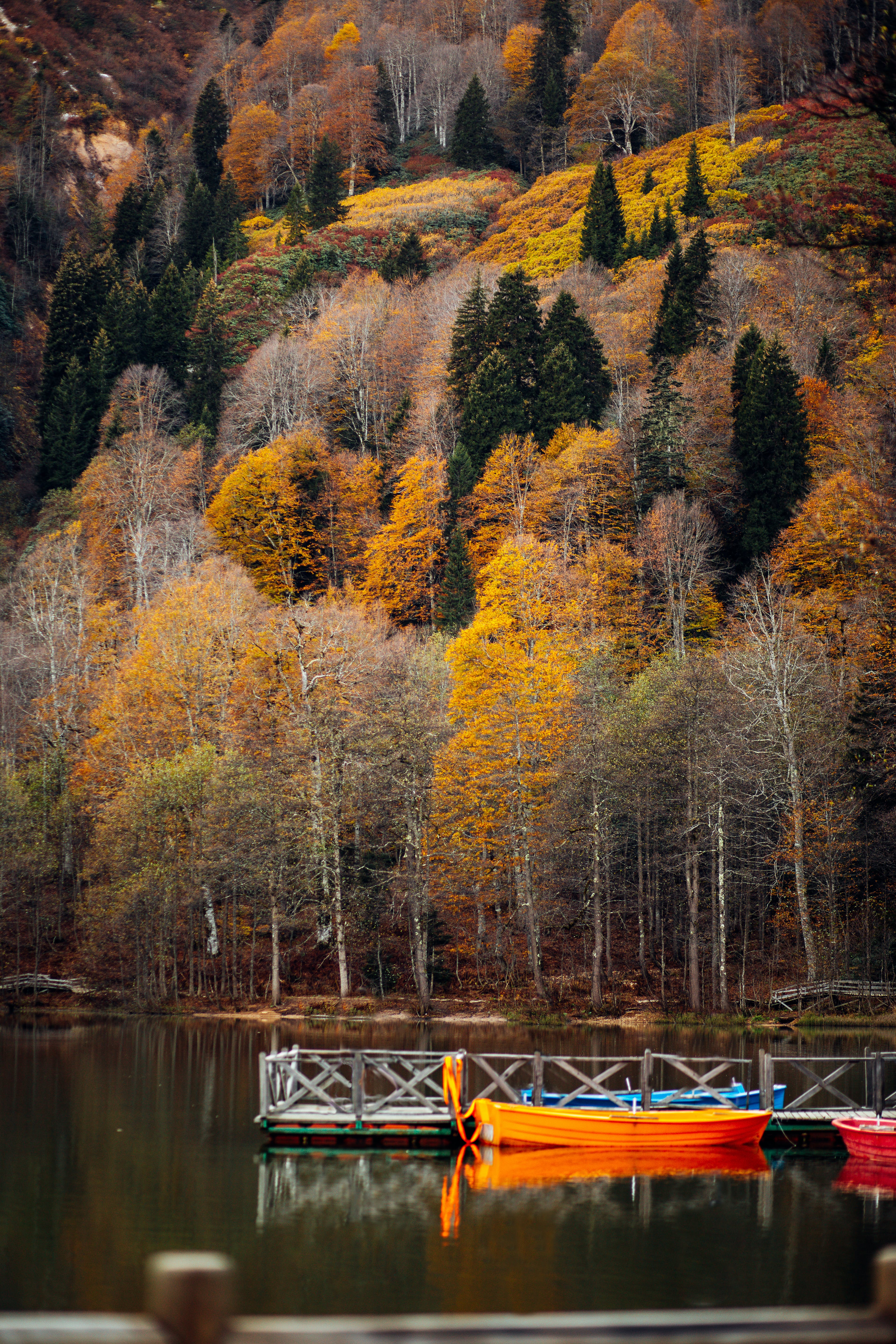 Autumn Lake Landscape · Free