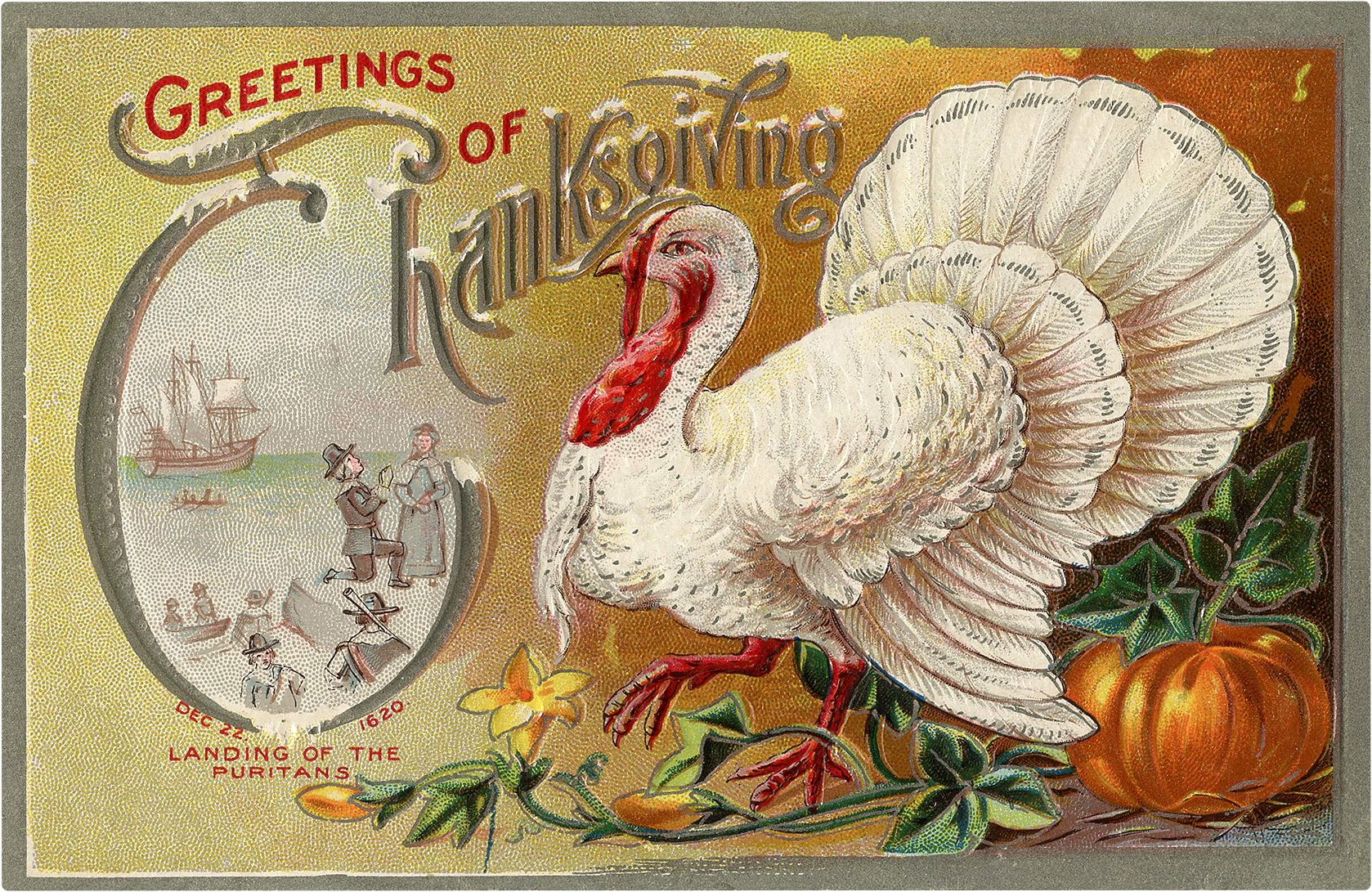 White Turkey Image Thanksgiving! Graphics Fairy