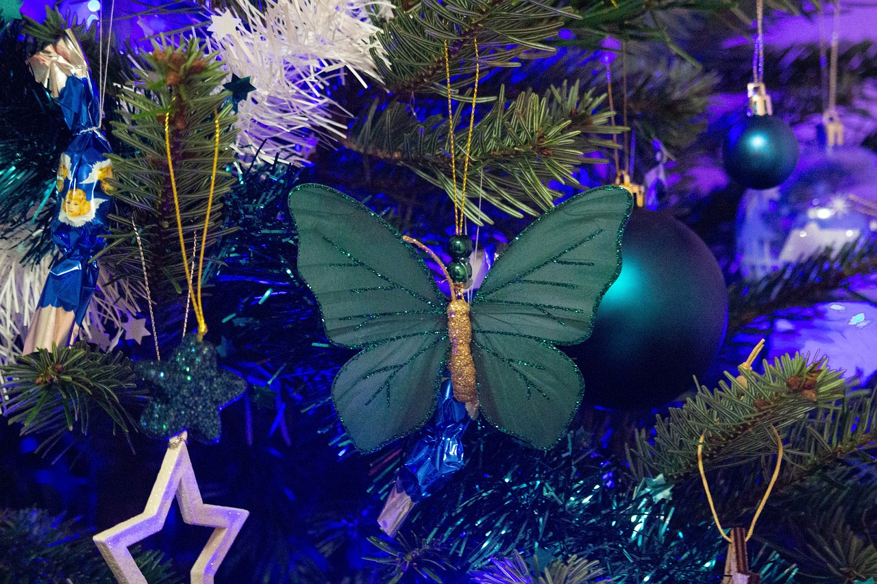 Free Christmas Butterfly & Butterfly Image