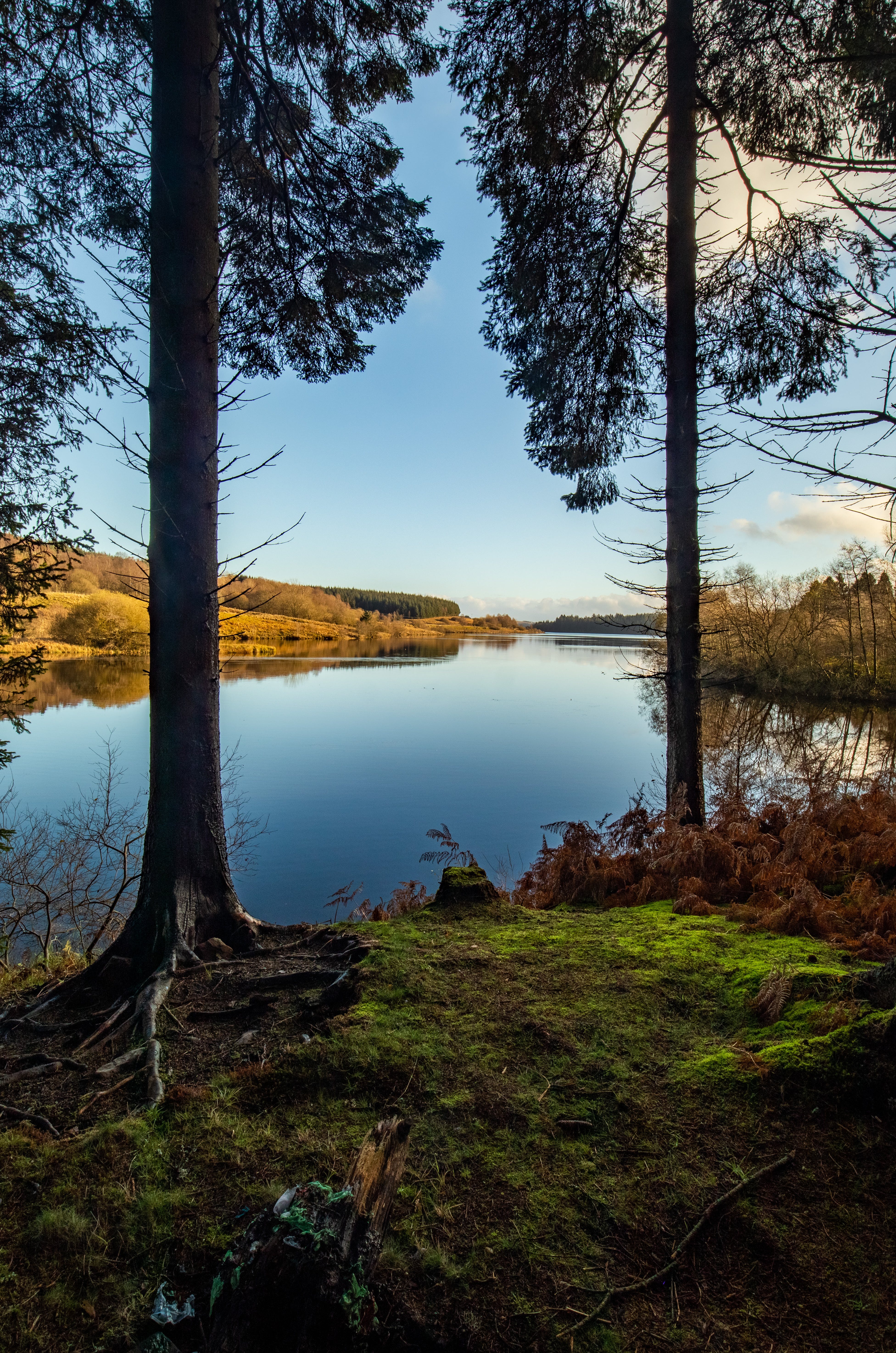 Autumn Lake Landscape · Free