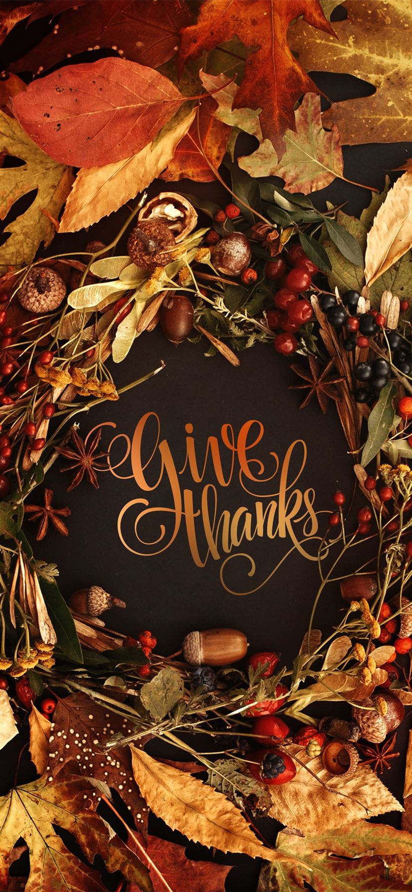Best Thanksgiving iPhone 11 HD Wallpaper