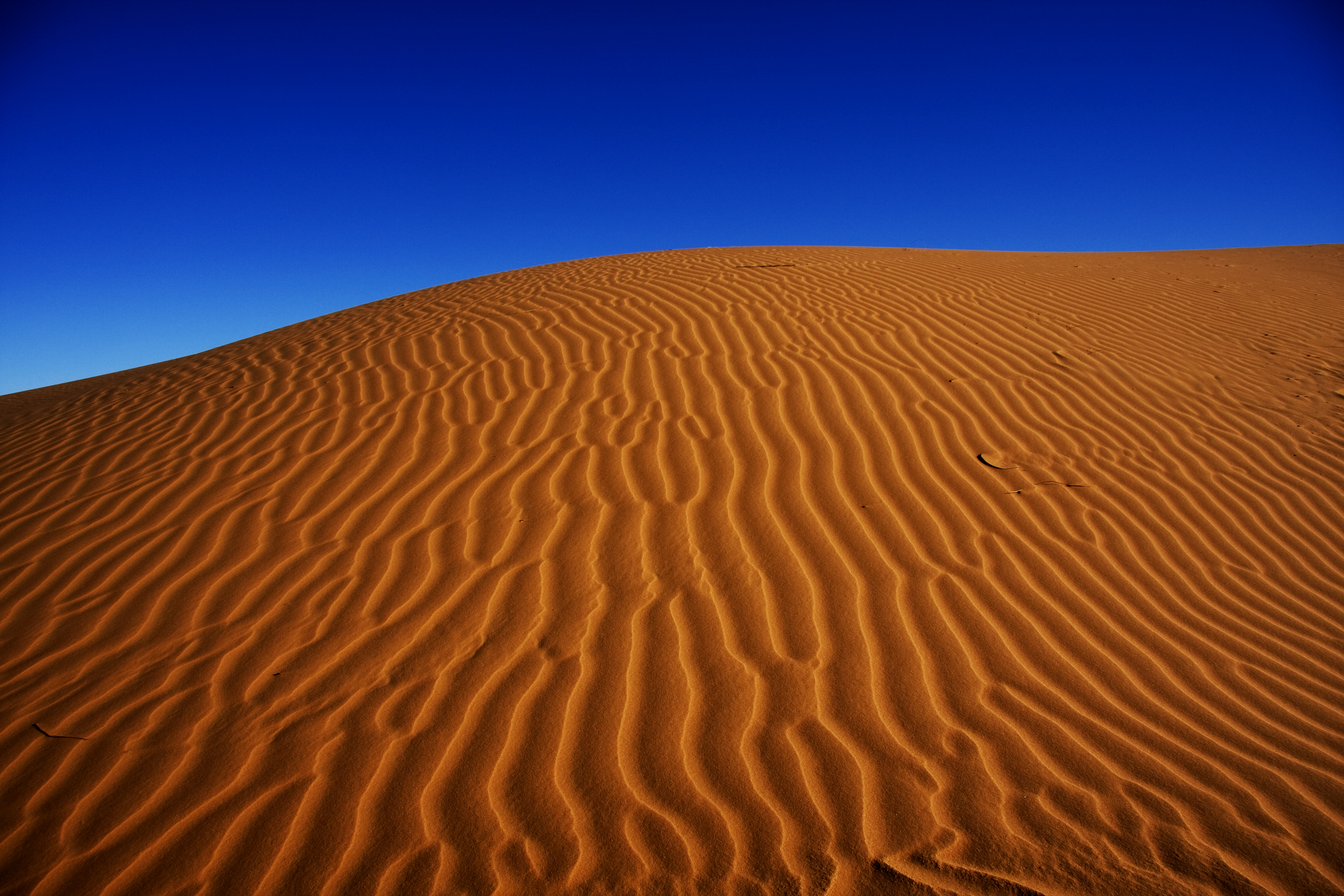 Download Sahara Sand Dune Sky Sand
