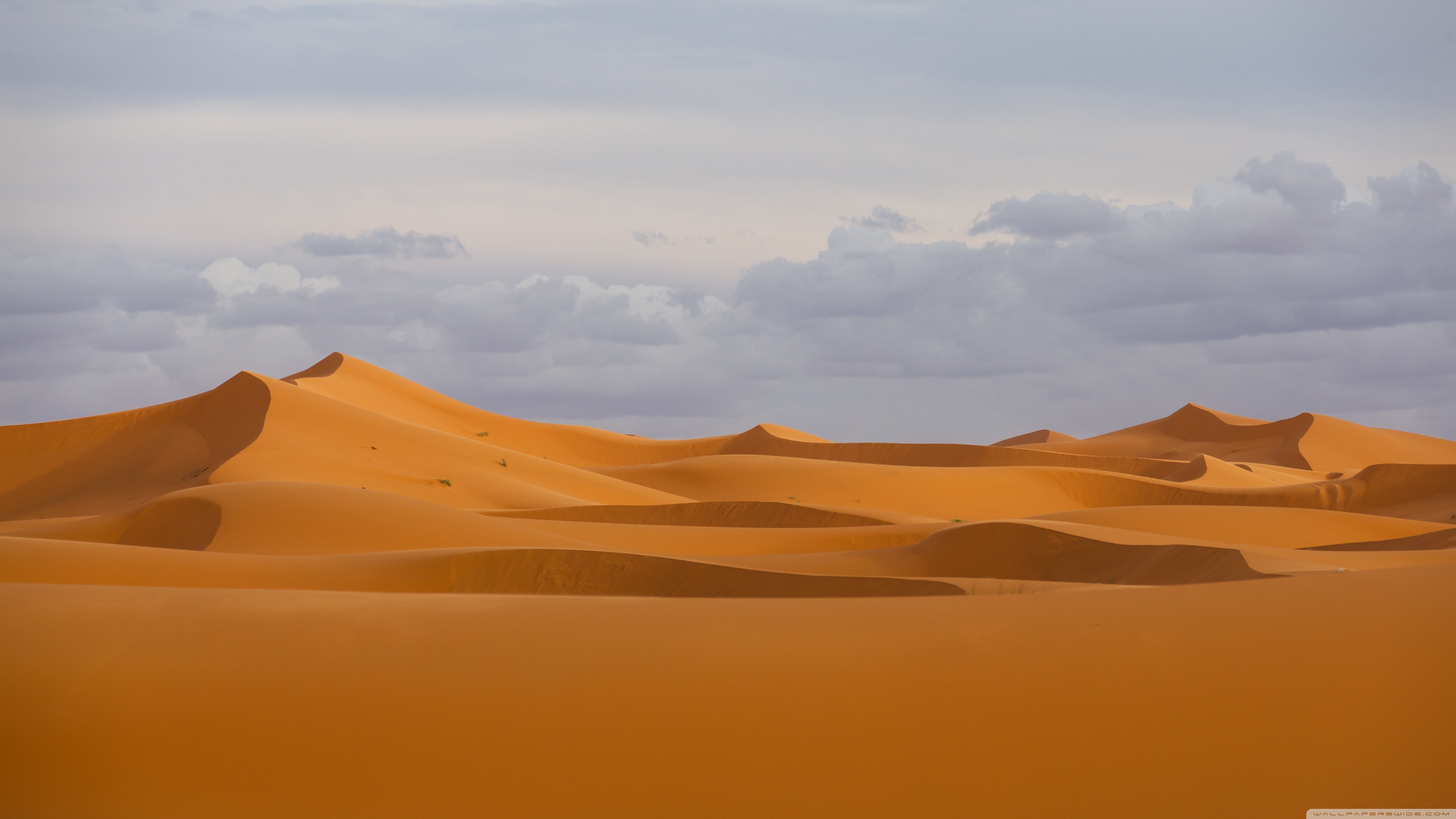 Sahara the Greatest Desert Ultra HD Desktop Background Wallpaper for 4K UHD TV, Widescreen & UltraWide Desktop & Laptop, Multi Display, Dual & Triple Monitor, Tablet