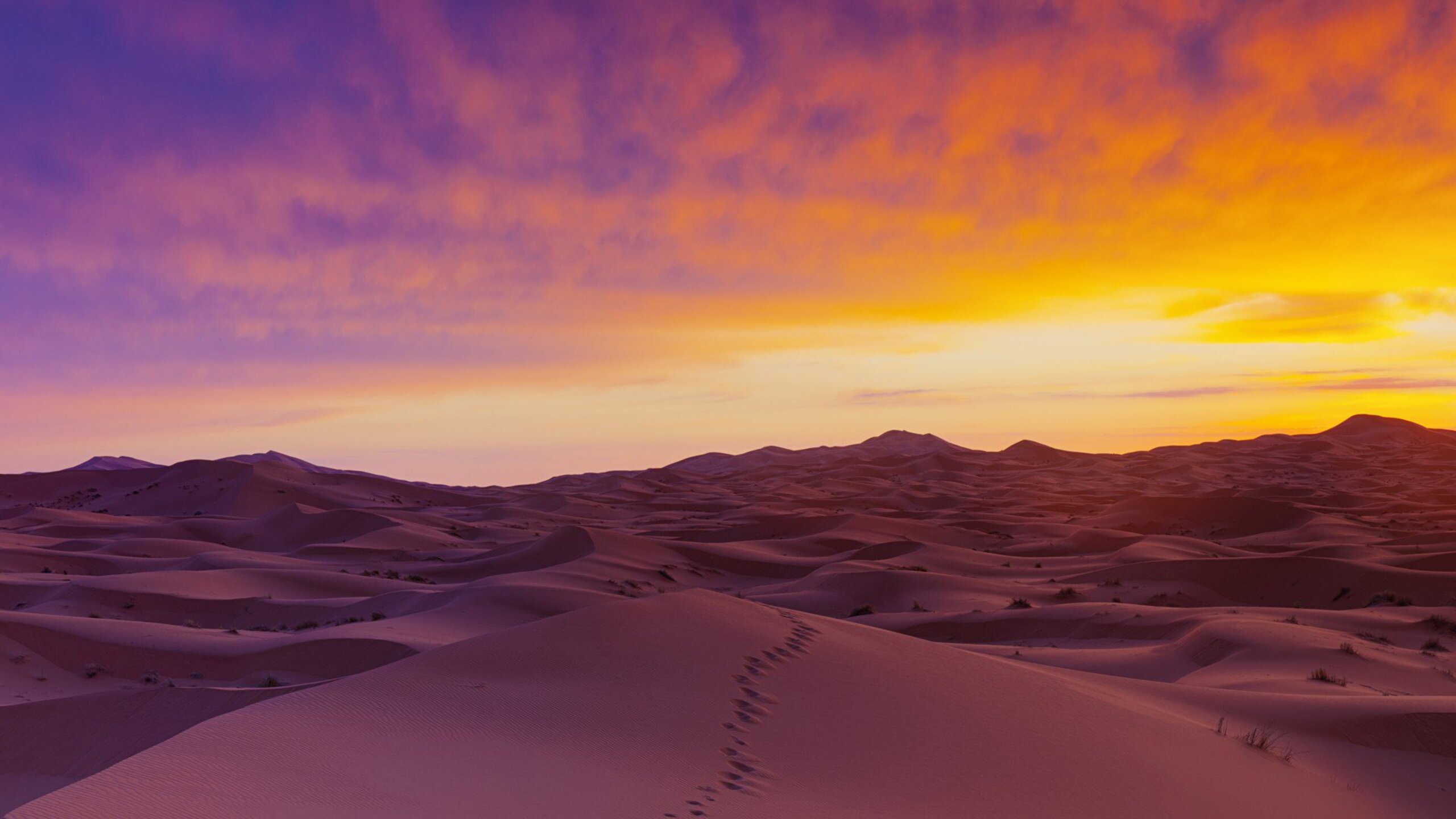 Sahara Desert Sand Dunes 1440P Resolution HD 4k Wallpaper, Image, Background, Photo and Picture
