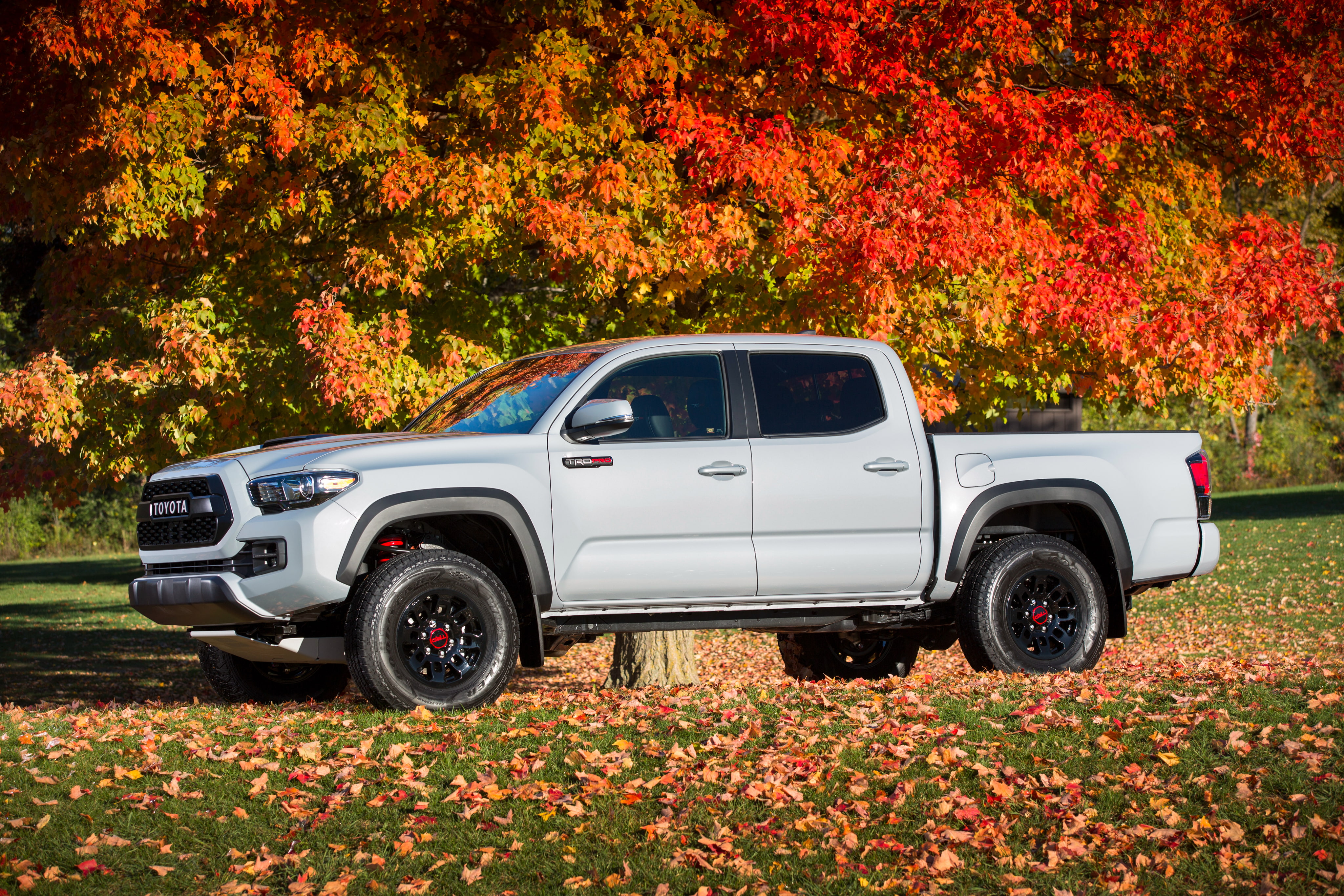 Wallpaper / pickup, toyota, truck, pro, 2017, doublecab, trd, 4K, tacoma Wallpaper