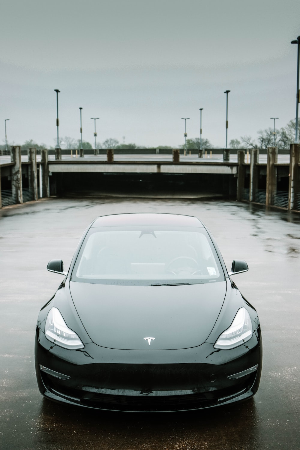 Elon Musk Tesla Picture. Download Free Image