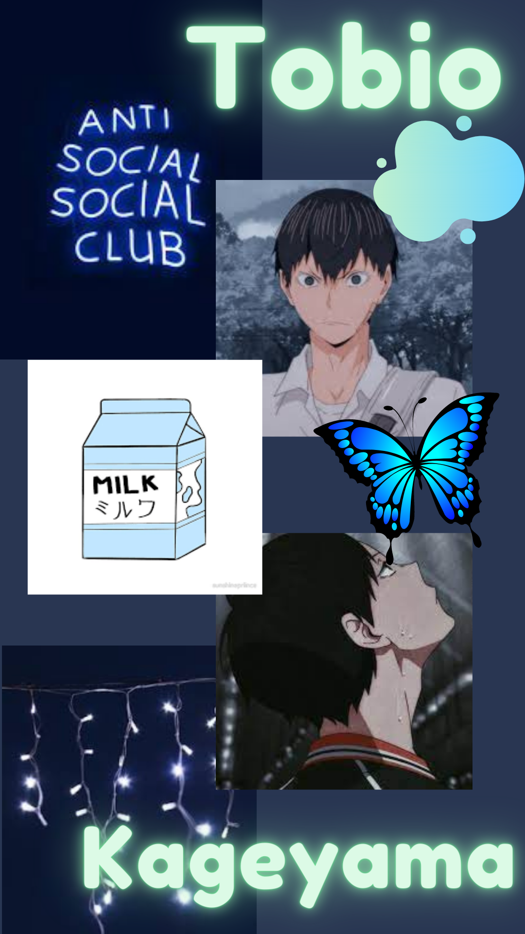 Welcome to the Haven