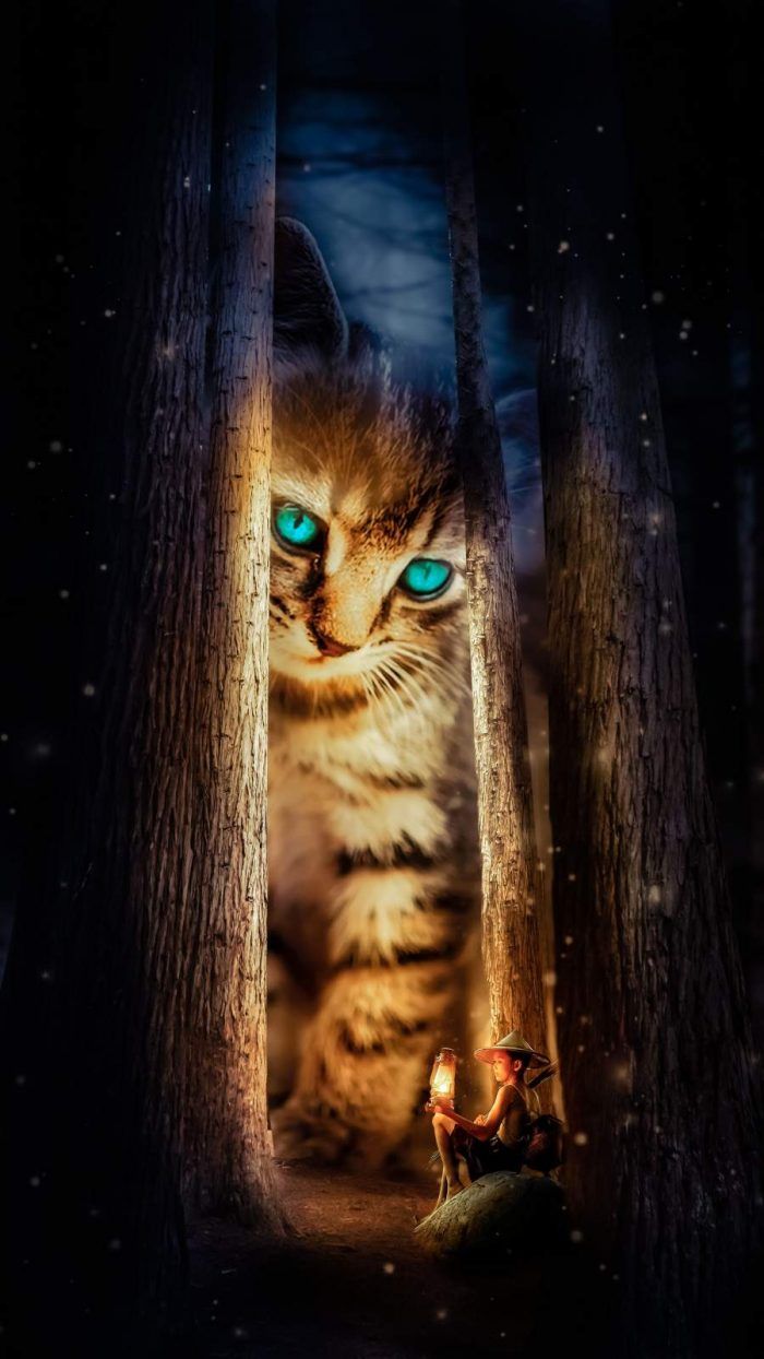 Predator Eye iPhone Wallpaper Wallpaper, iPhone Wallpaper. Cute cat wallpaper, Kitten wallpaper, iPhone wallpaper cat