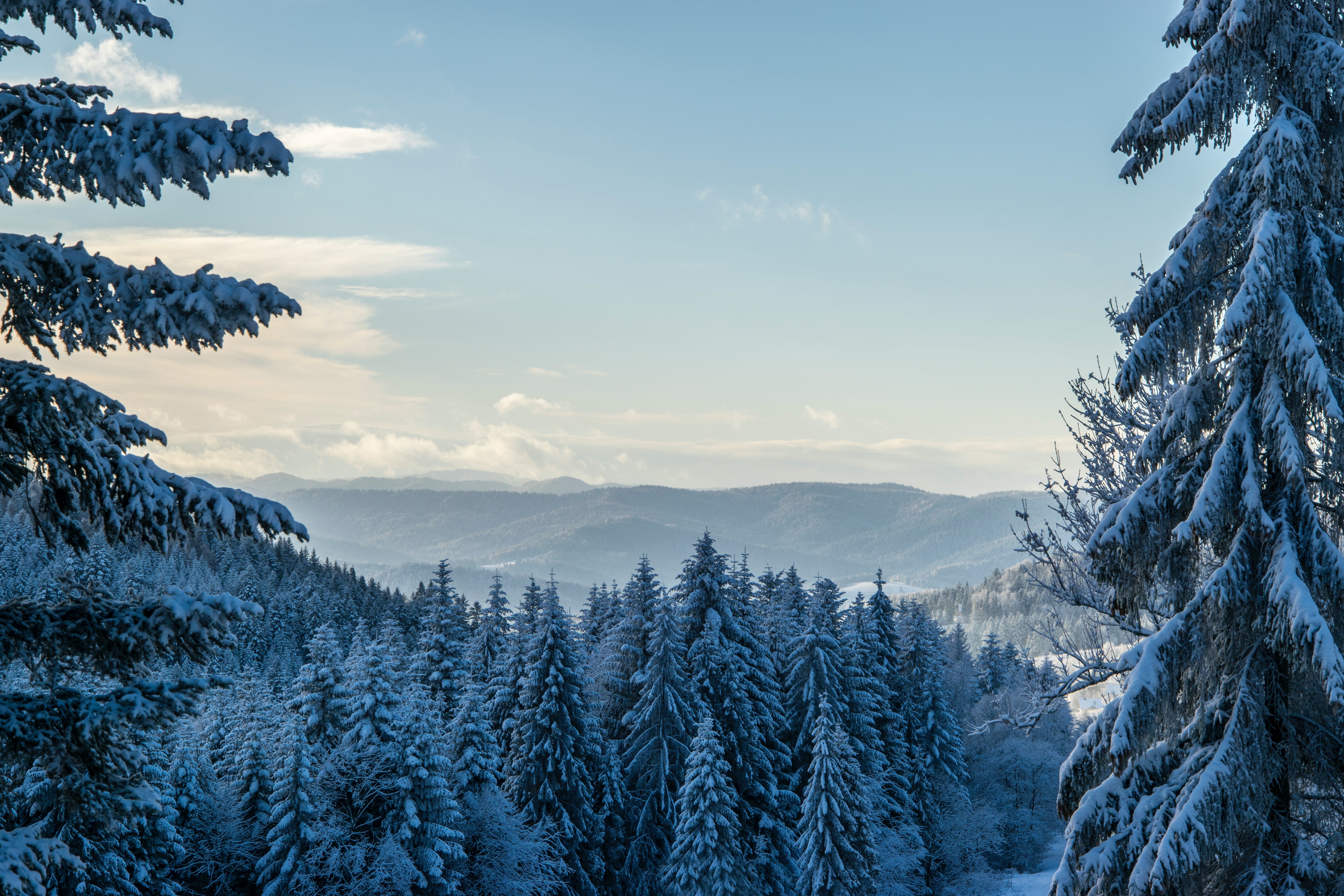 Winter Landscape Photo, Download The BEST Free Winter Landscape & HD Image