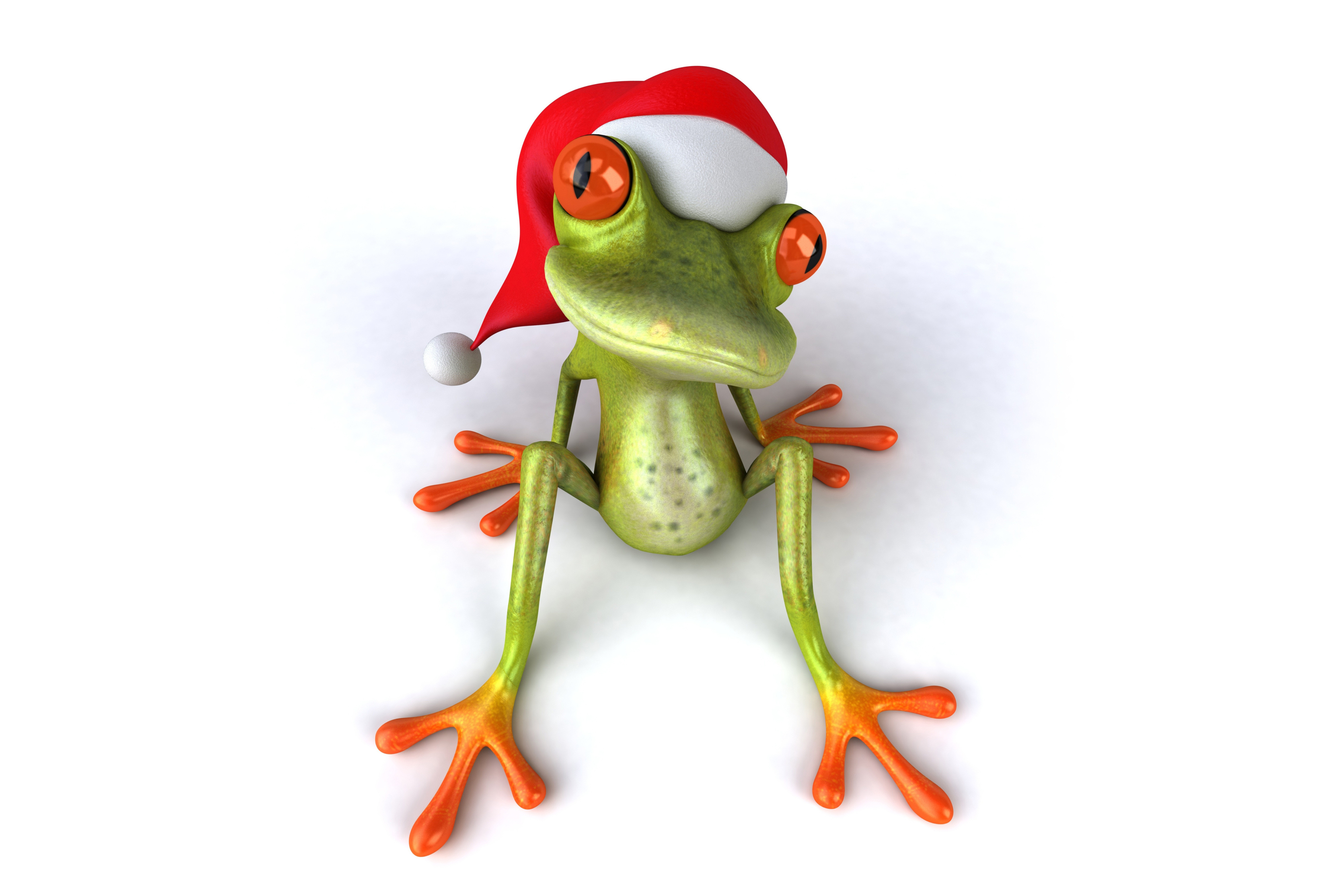 4K Frog Wallpaper and Background Image