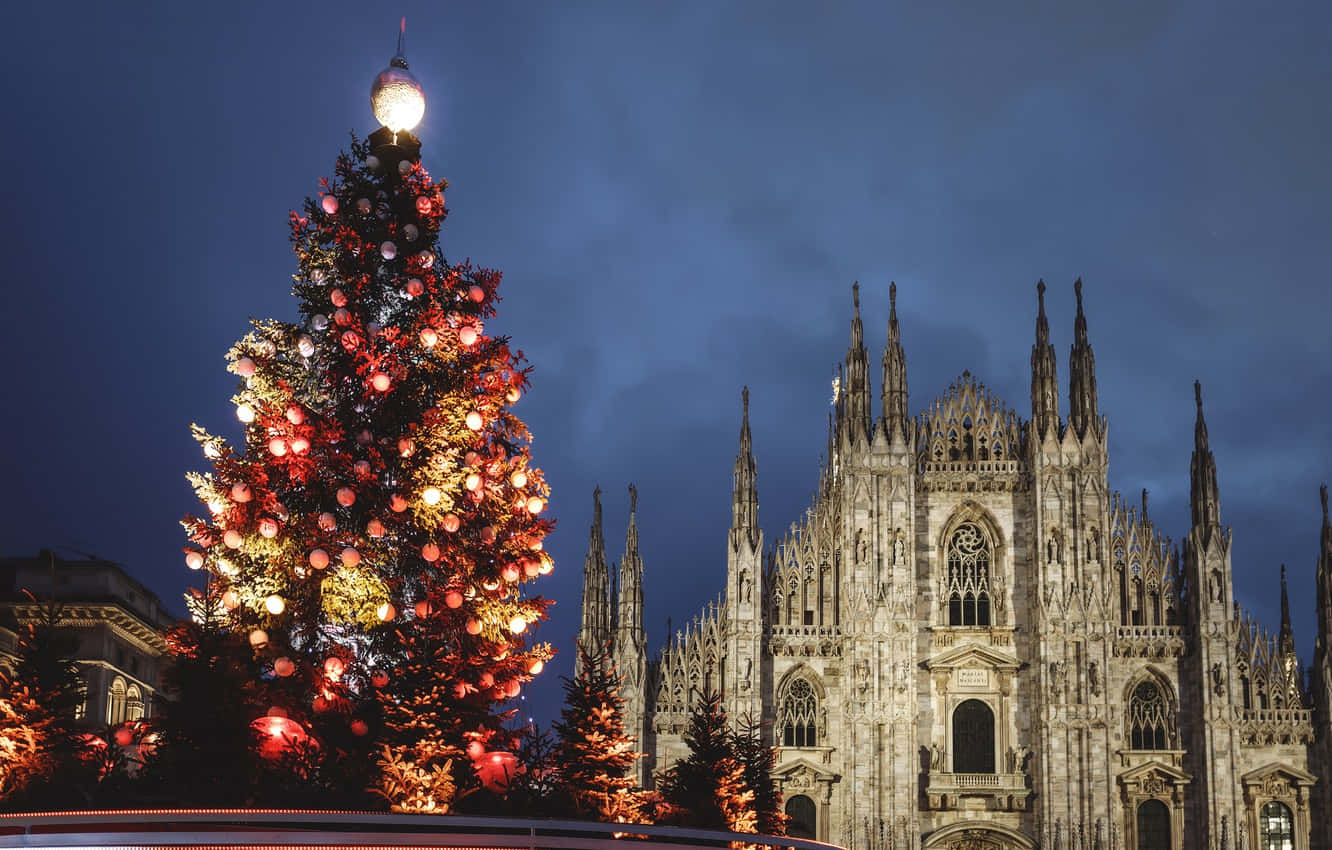 Download Huge Christmas Tree In Milan Cathedral Wallpaper