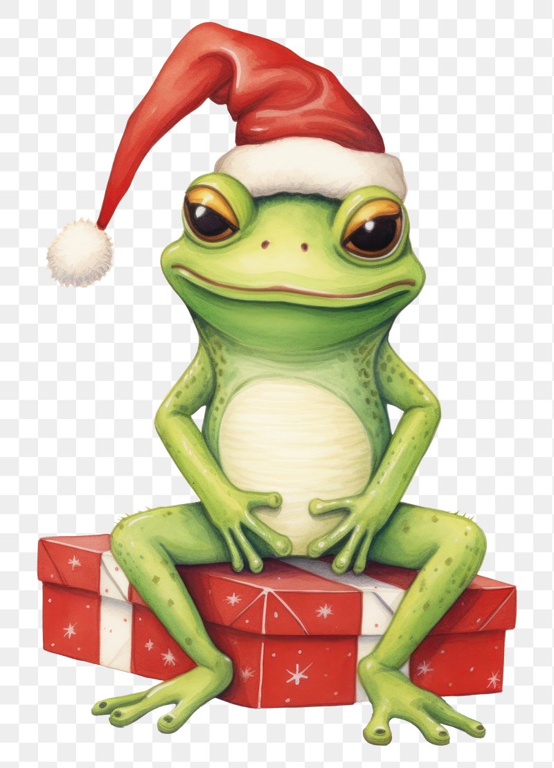 Colorful Frog Image Wallpaper