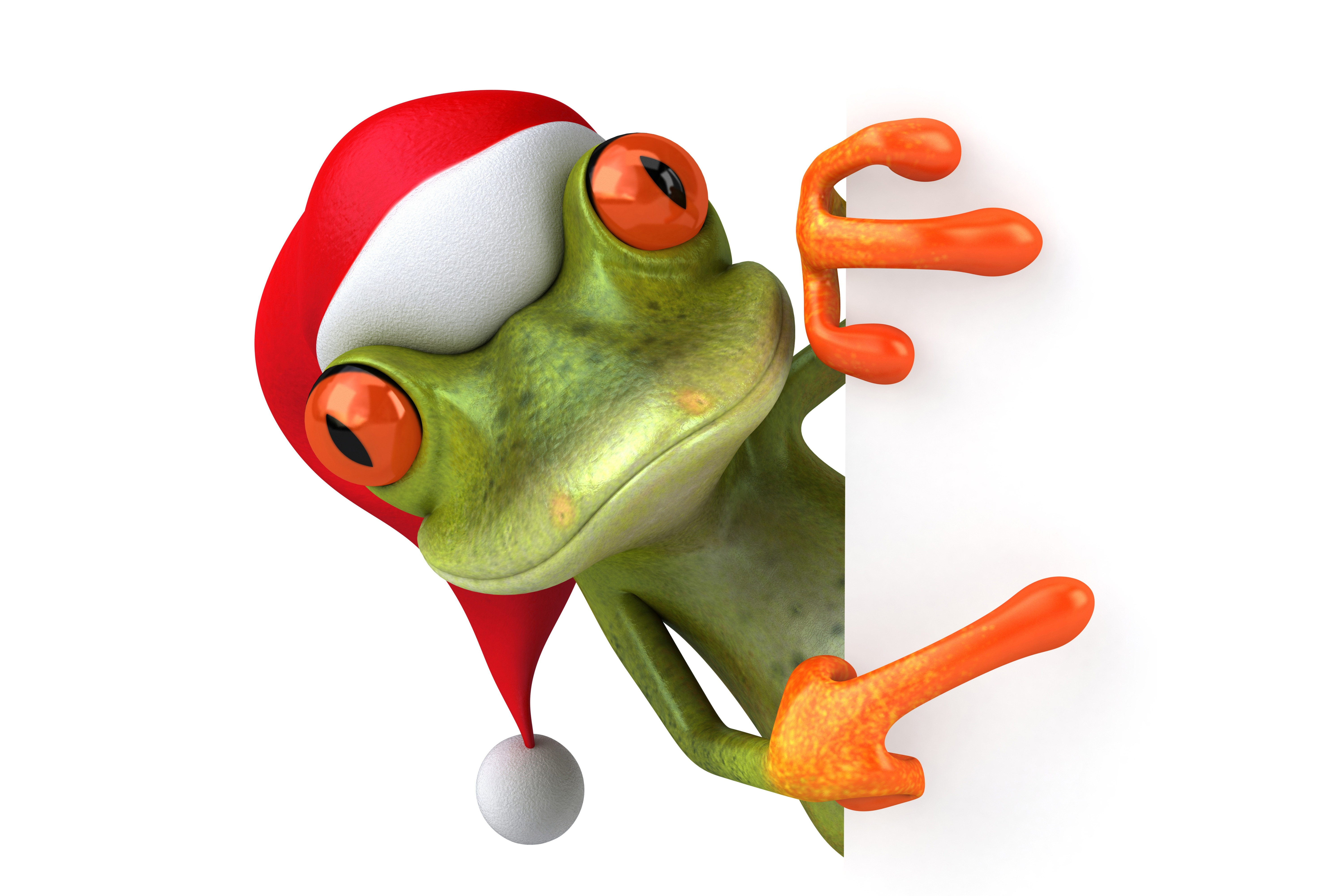 4K Frog Wallpaper and Background Image
