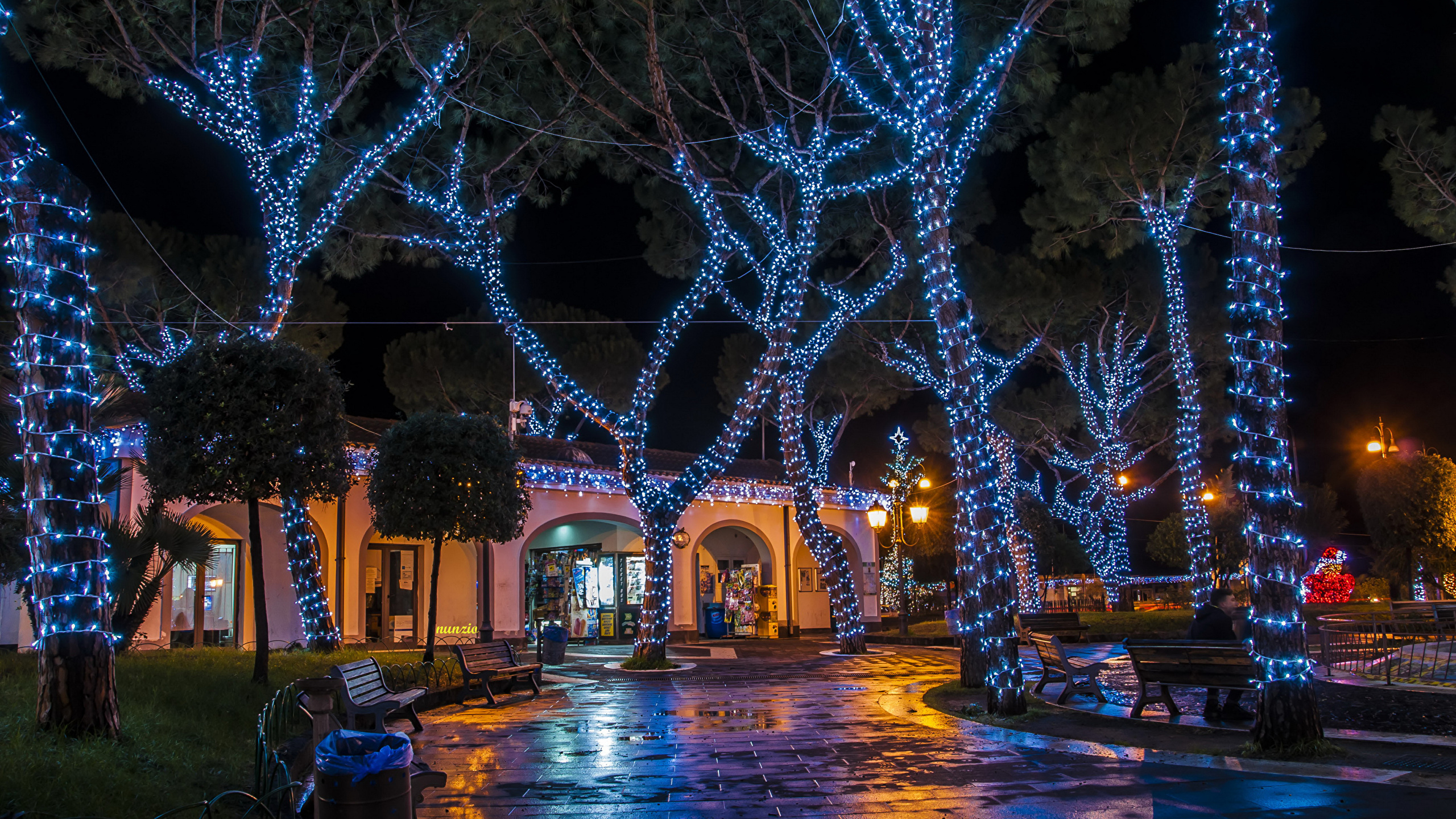 image Italy Christmas Casamicciola night time Fairy 2560x1440