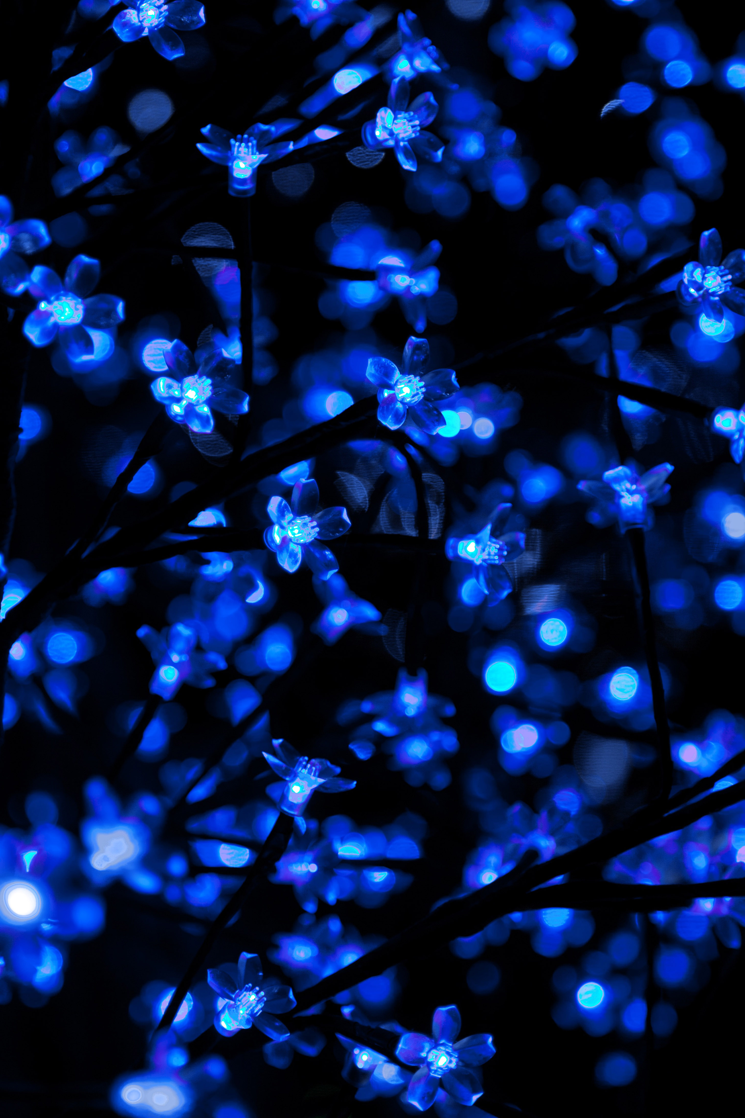 blue christmas lights background. Free Textures, Photo & Background Image