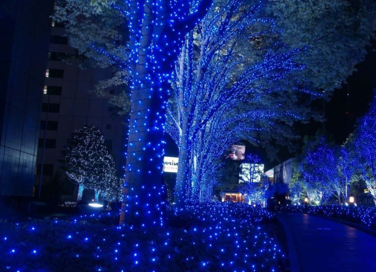 Download Christmas Light Blue Aesthetic On Trees Picture