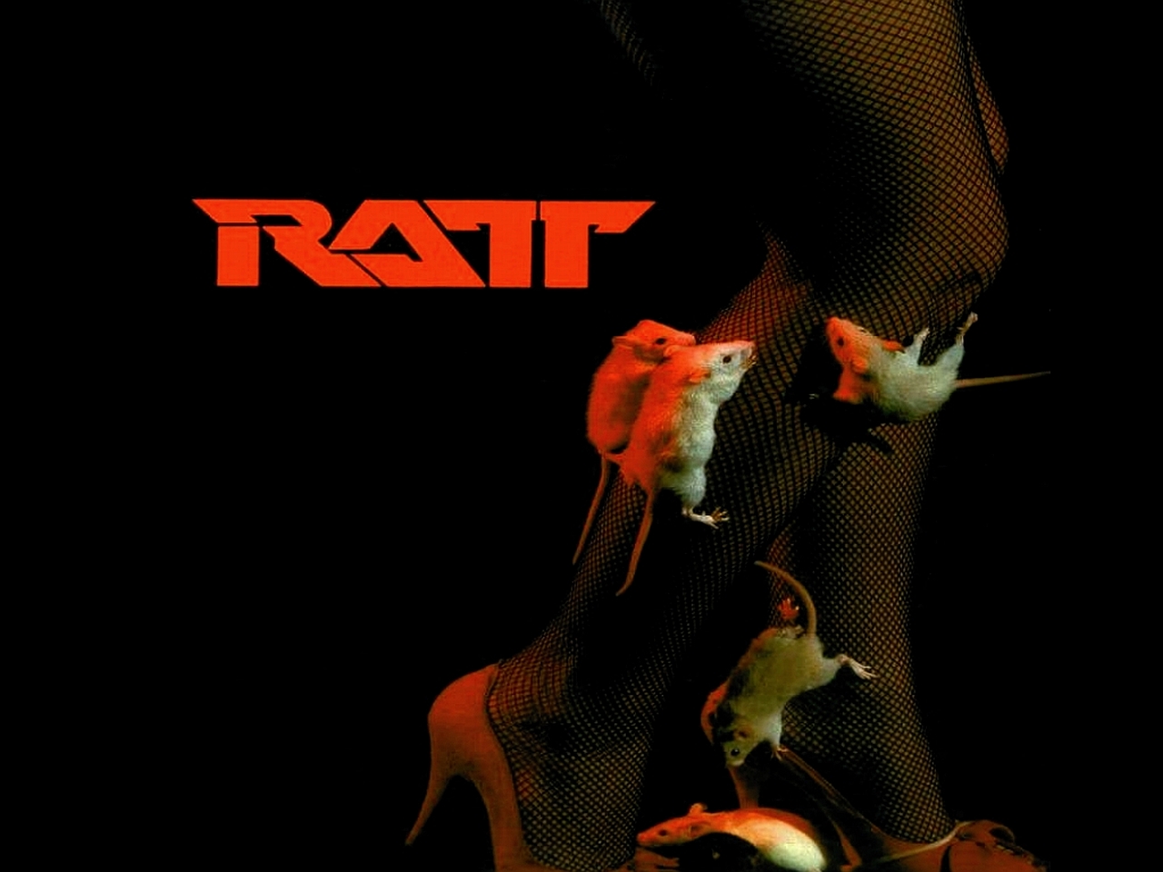 Download Ratt wallpaper for mobile phone, free Ratt HD picture