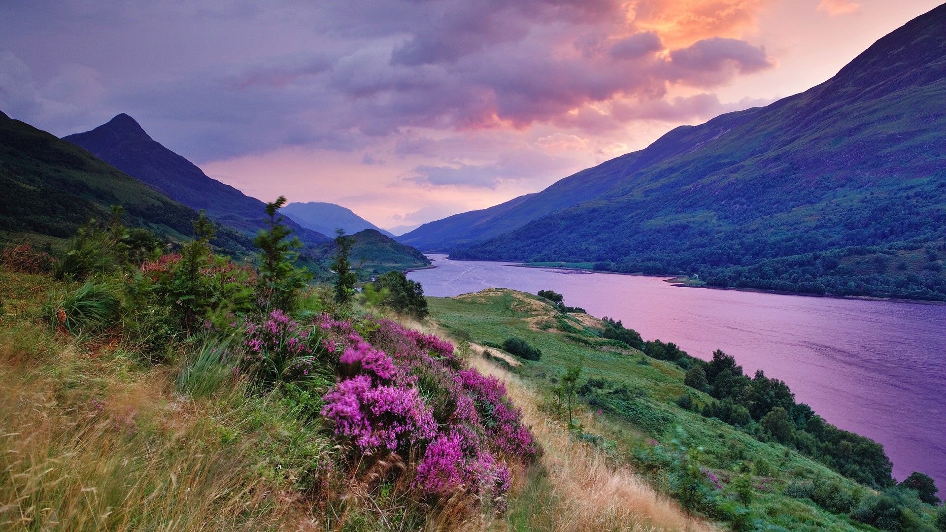 a glen in the Highlands with lavender lens. Scotland highlands, Scottish highlands, Places to go