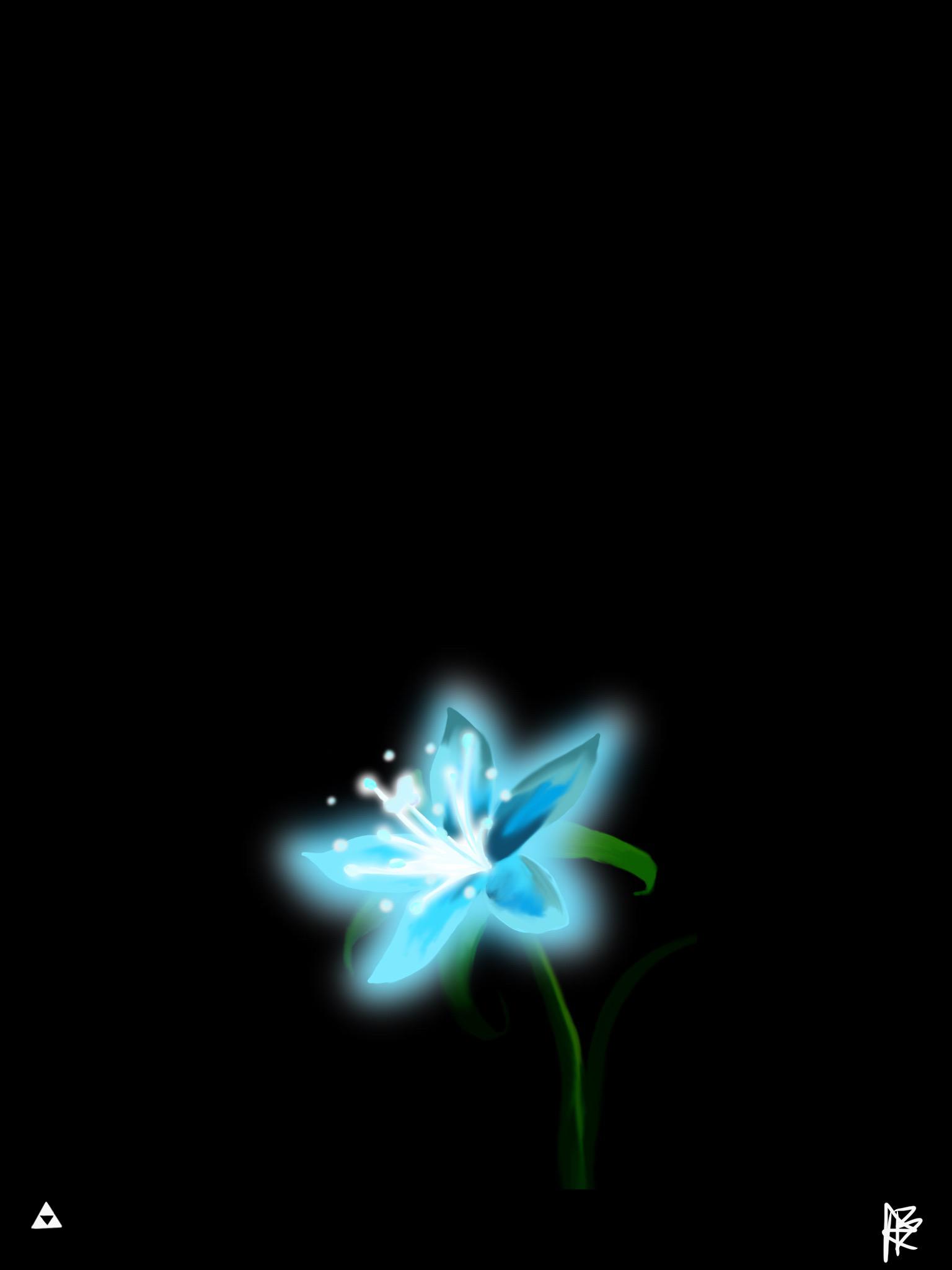 I Really Loved How Silent Princesses Glow In The Dark (made This For My Phone's Wallpaper), R Breath_of_the_Wild