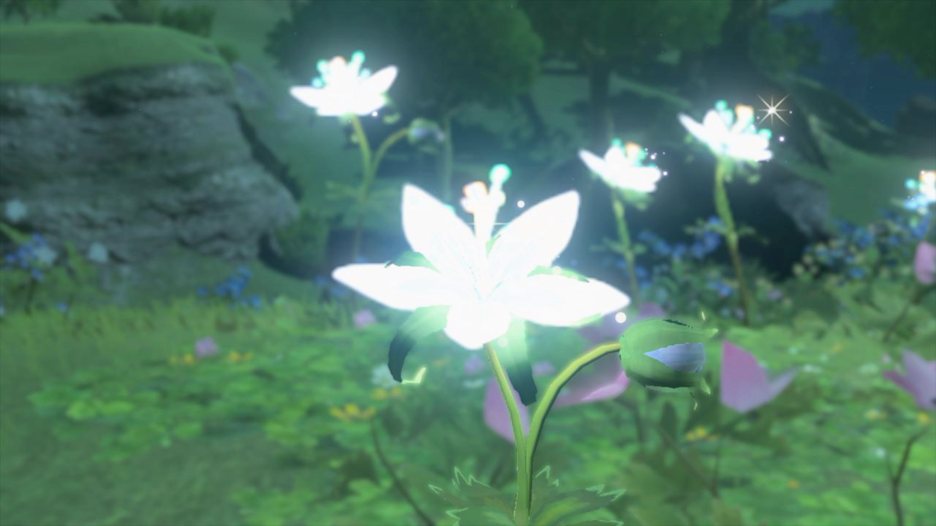 Silent Princess Legend of Zelda: Tears of the Kingdom Guide