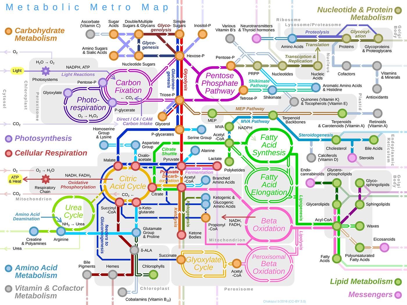 Metro Map of Metabolism