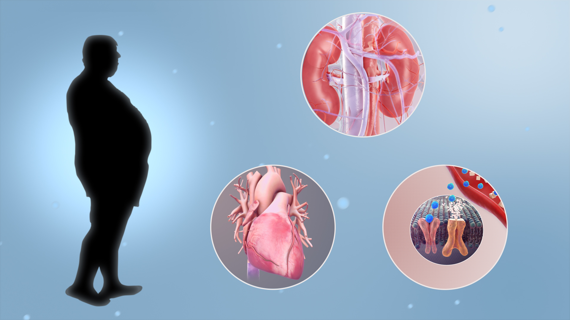 Digital Disruption of Metabolism: How Screens Affect Your Physical Health