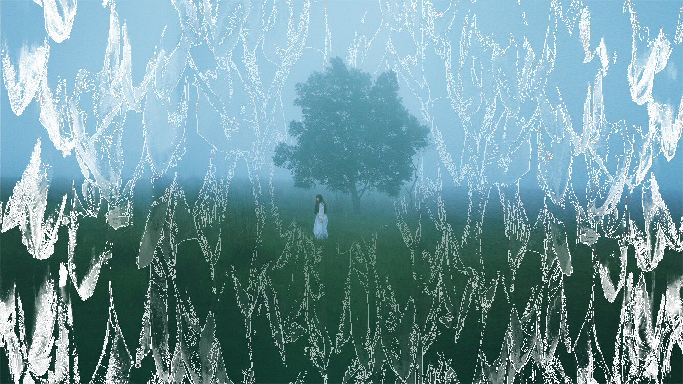 Ichiko Aoba - 'Asleep Among Endives'