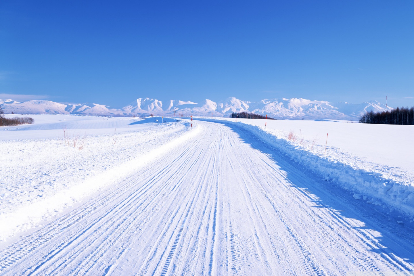 Winter, Japan Ultra HD Desktop Background Wallpaper for 4K UHD TV, Widescreen & UltraWide Desktop & Laptop, Tablet