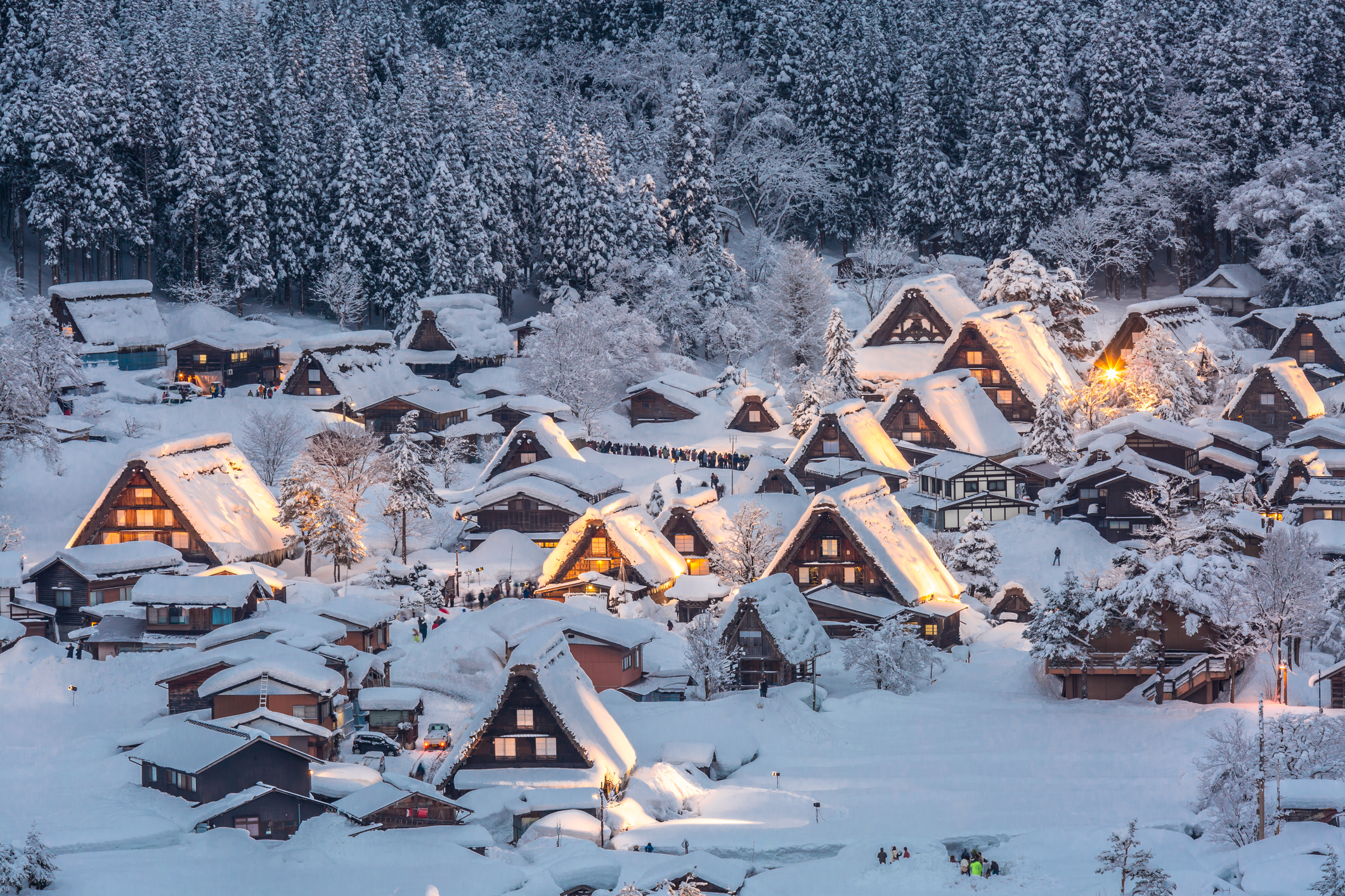 Most beautiful winter destinations in Japan. Time Out Tokyo