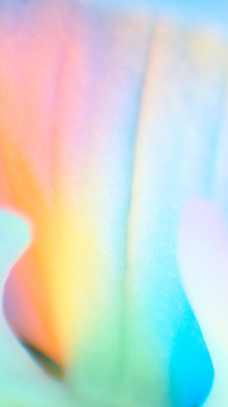 iPhone 6 wallpaper. flower macro pastel blur gradation