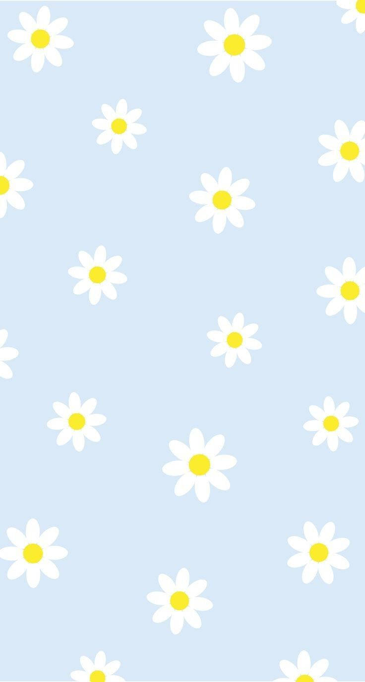 Download Daisy iPhone Patterns On Pastel Blue Wallpaper