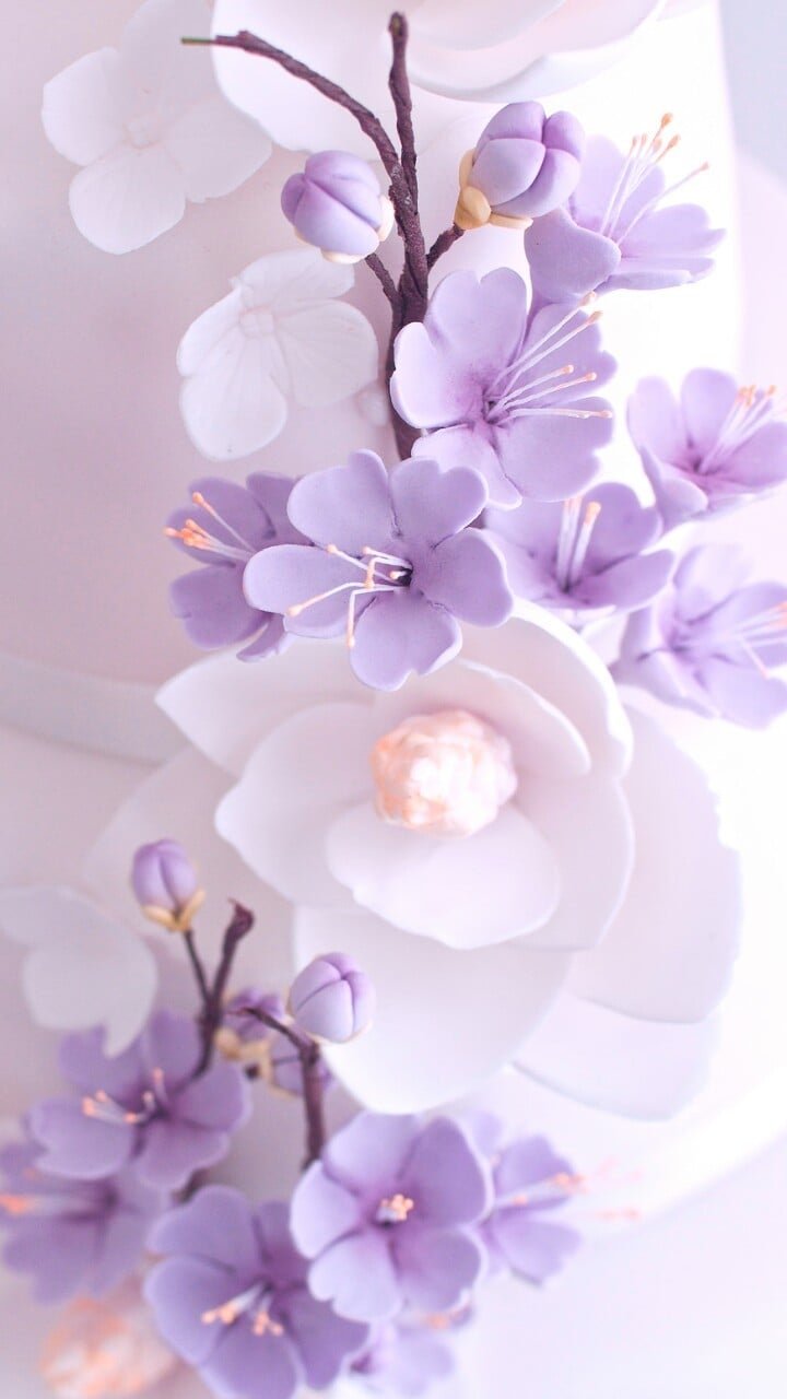 Purple flower gift Wallpaper Download