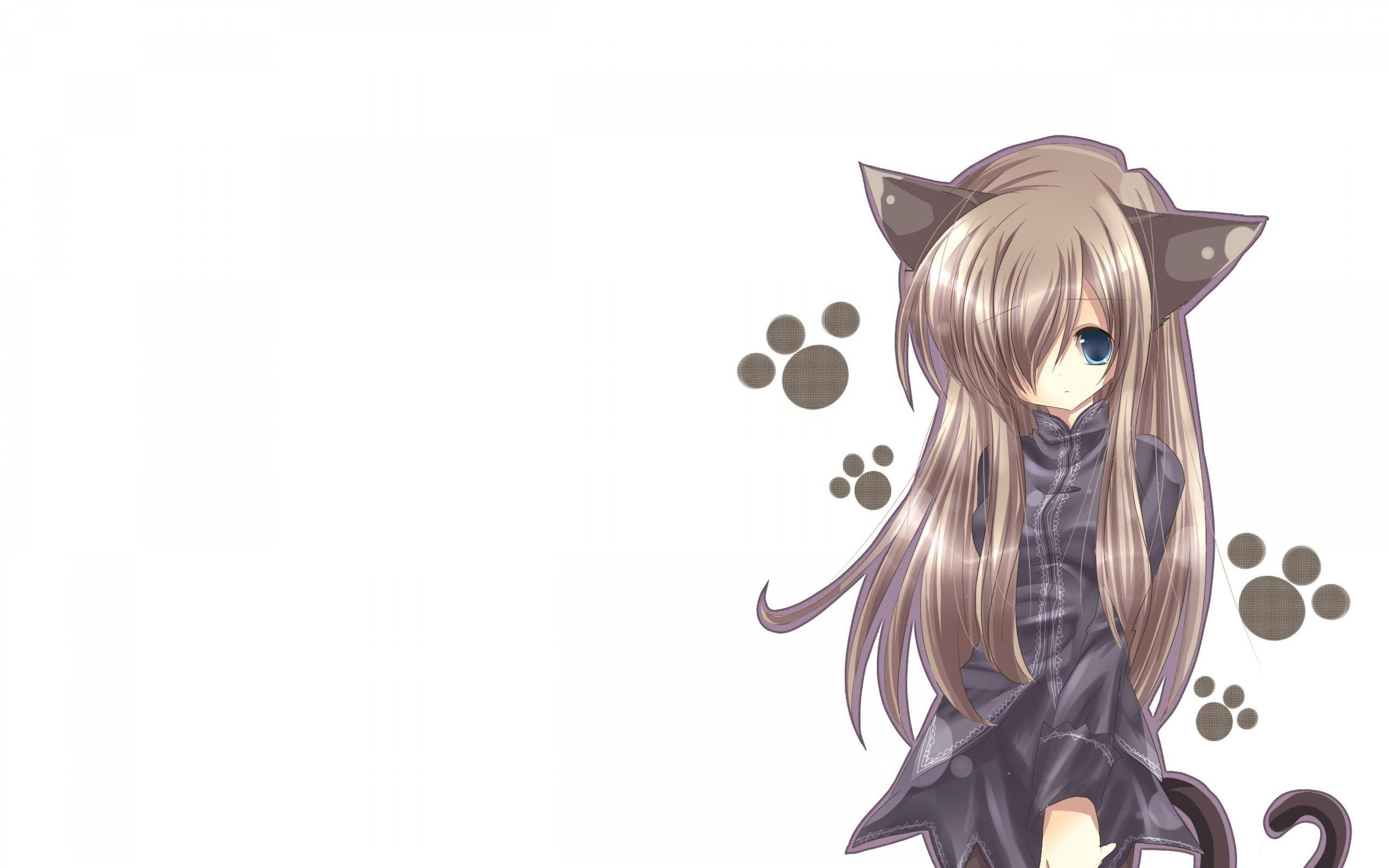 Cute anime cat girl Wallpaper Download