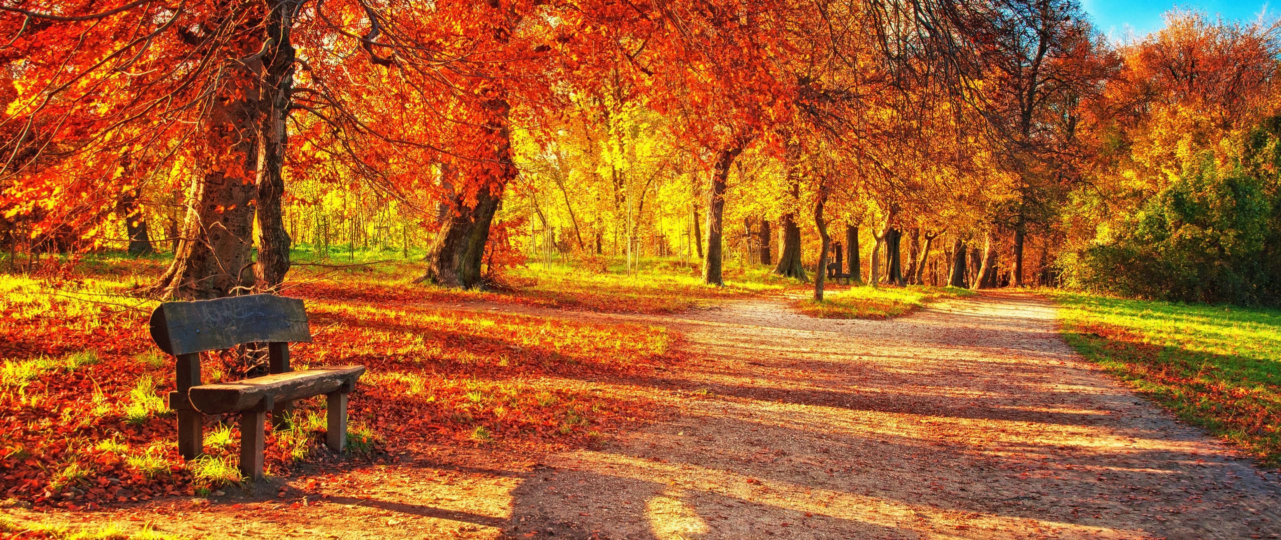 Download wallpaper 2560x1080 bench, autumn, park, foliage dual wide 1080p HD background