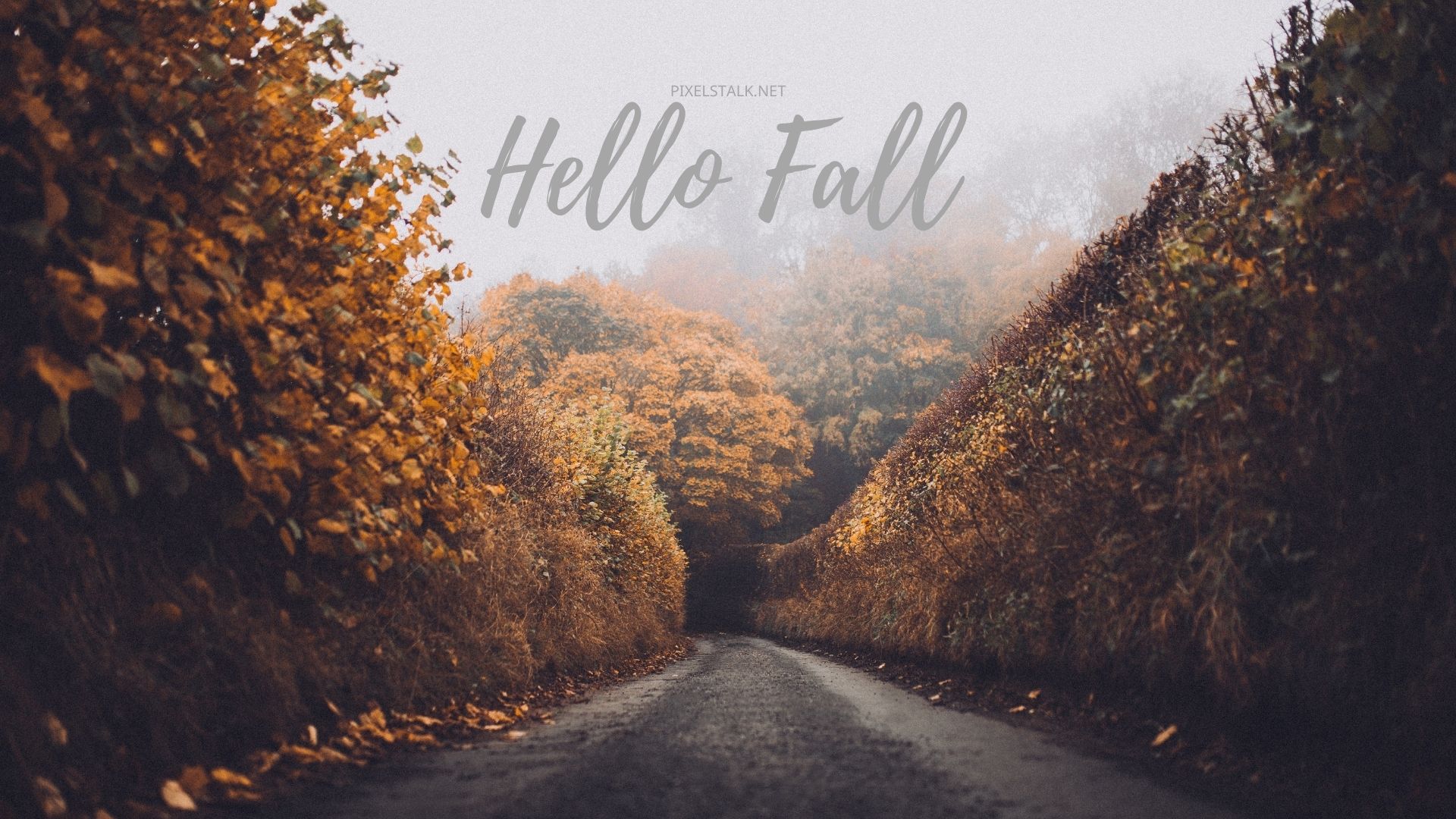 Hello Fall Wallpaper HD for PC Free Download