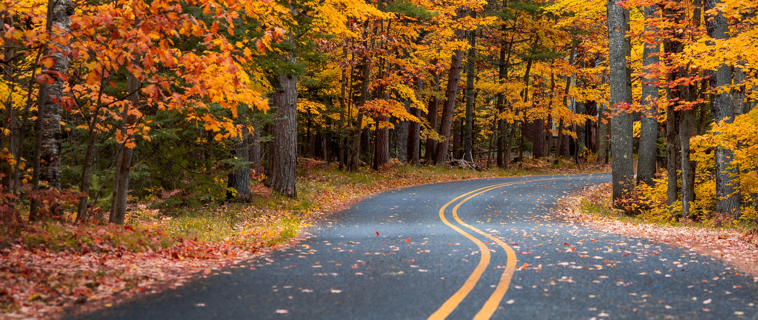 Autumn Drive Road 4k 2560x1080 Resolution HD 4k Wallpaper, Image, Background, Photo and Picture