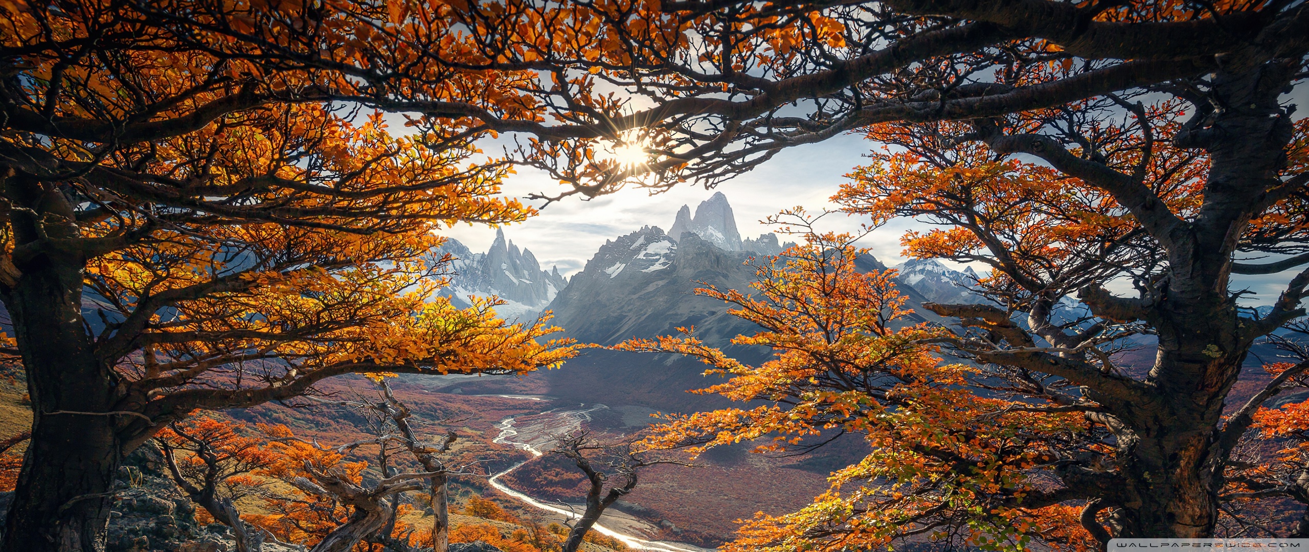 Fall, Yellow Trees, Mountain View, River Valley Ultra HD Desktop Background Wallpaper for 4K UHD TV, Widescreen & UltraWide Desktop & Laptop, Tablet