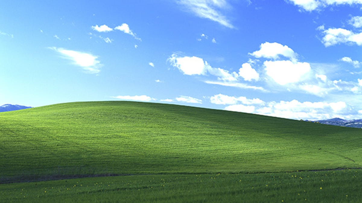 It's Bliss: behind the iconic Windows XP photo