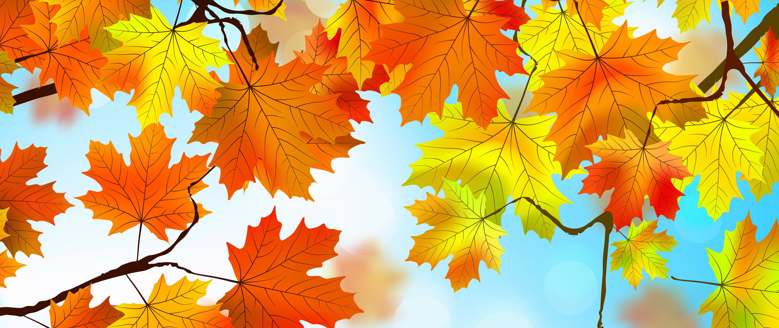 Autumn Leaves HD 2560x1080 Resolution HD 4k Wallpaper, Image, Background, Photo and Picture