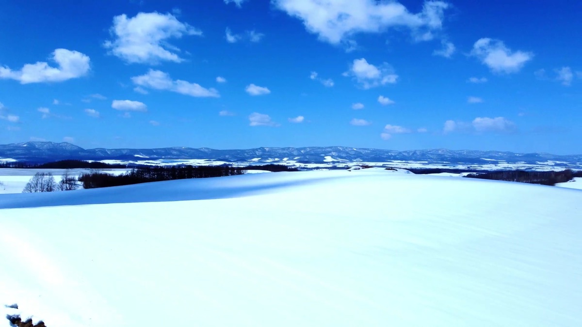 Sakura Iro (feat. Hatsune Miku) By Red ChanP