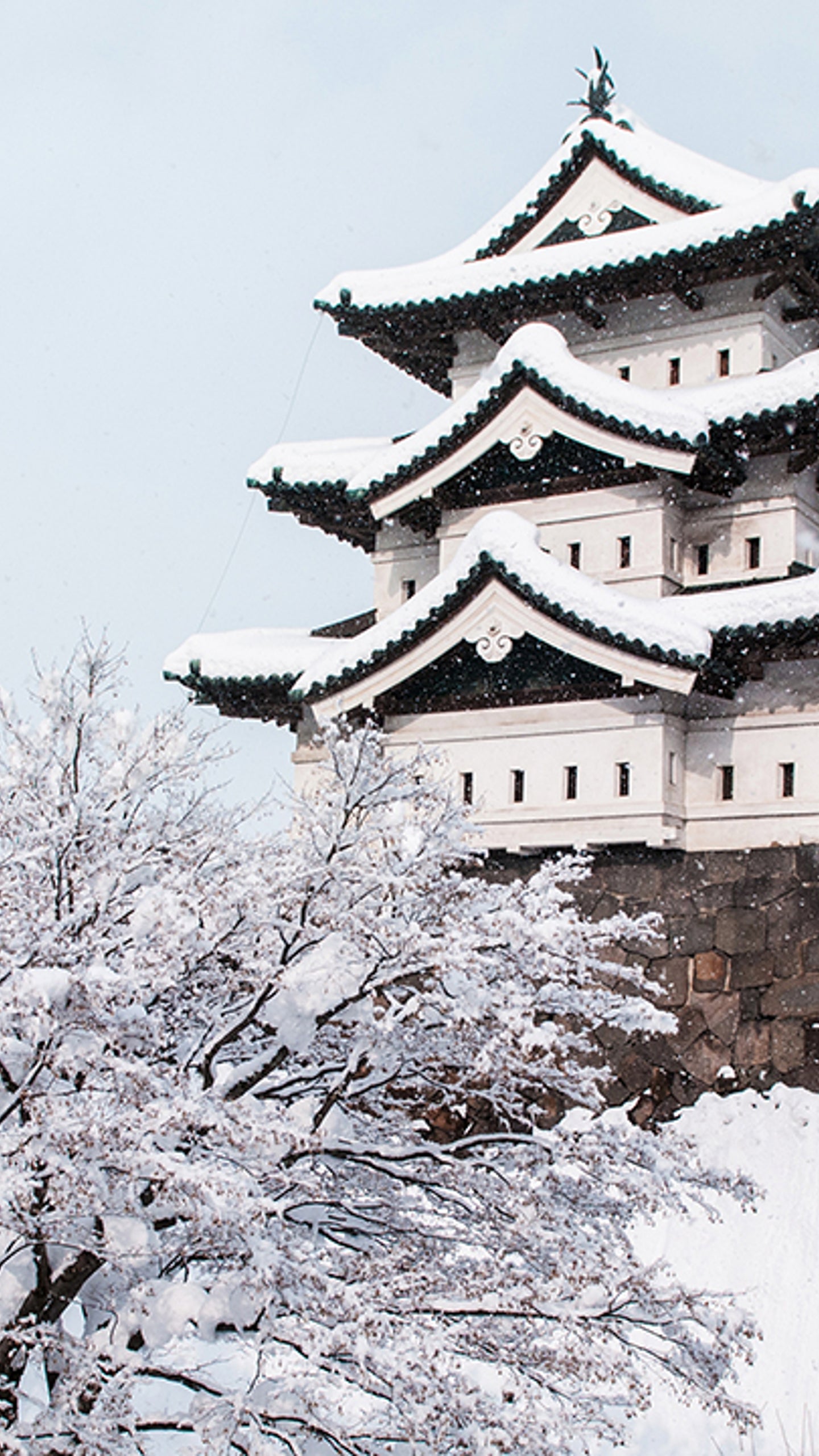 Why Aomori, Japan is the World's