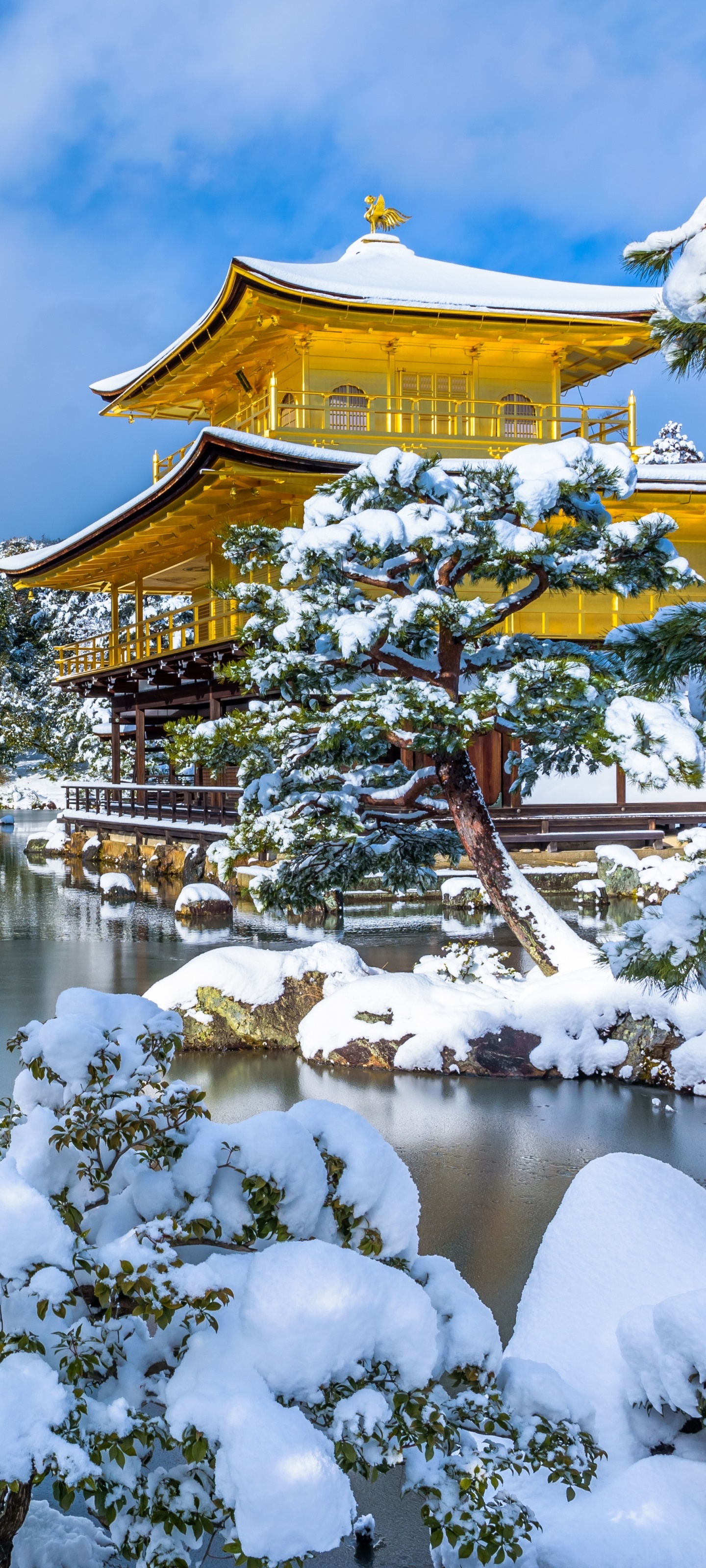 Religious Pagoda, Japan, Winter, Snow, 1440x3200 Phone HD Wallpaper