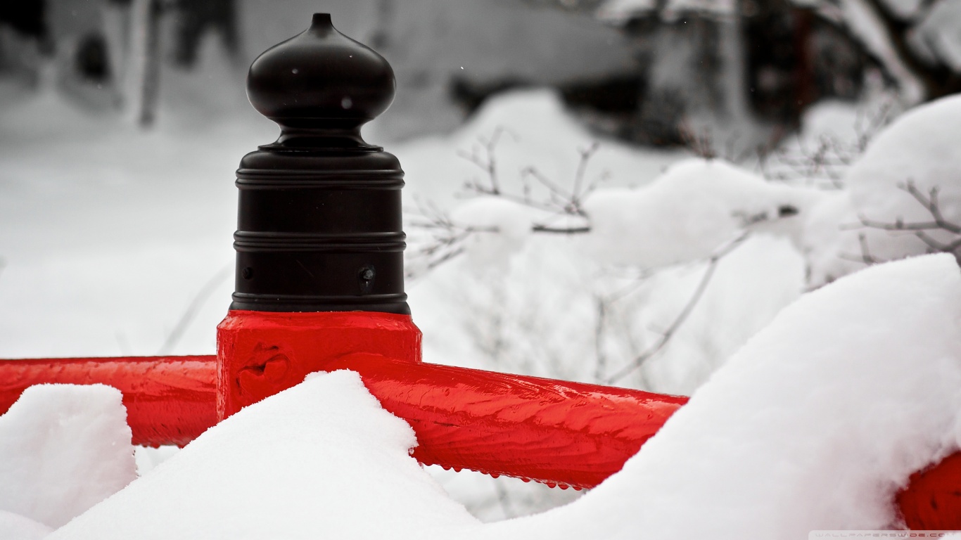 Japanese Winters Ultra HD Desktop Background Wallpaper for 4K UHD TV, Tablet