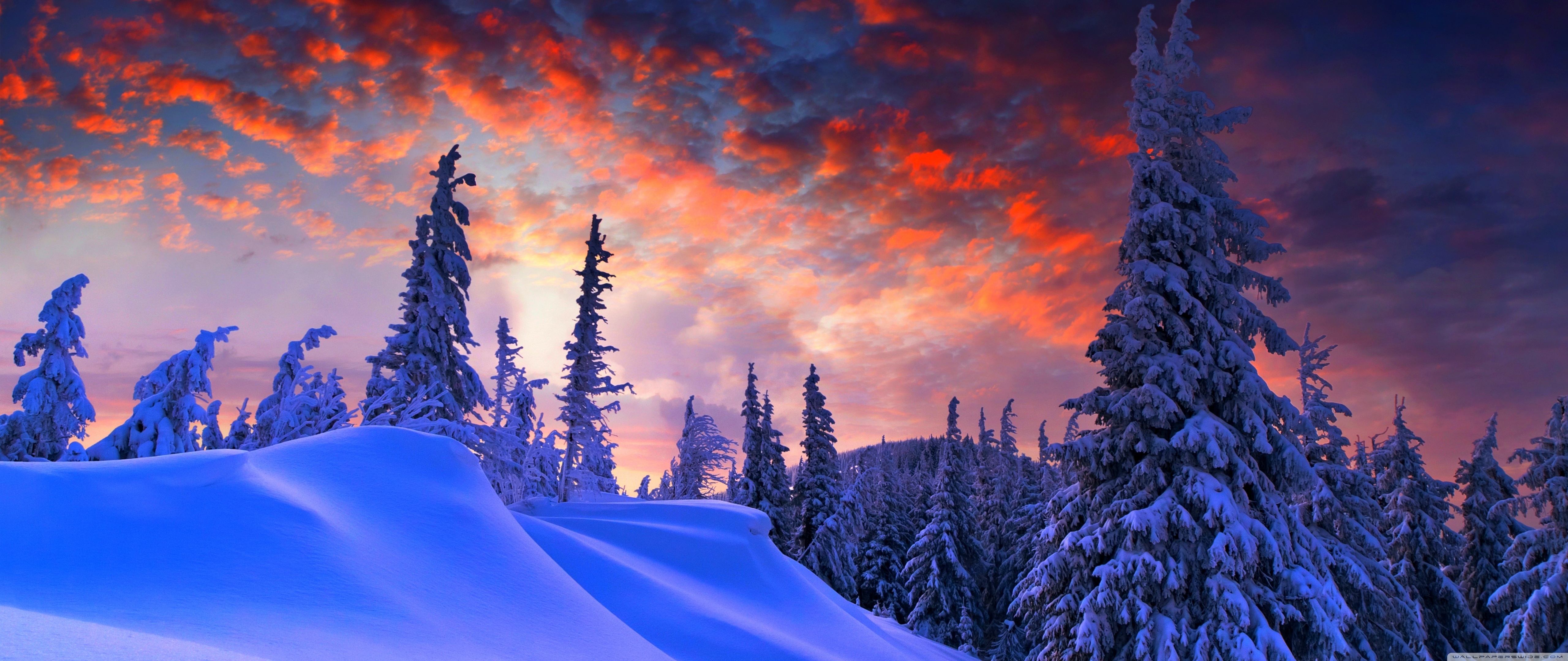 Winter Christmas Ultra HD Desktop Background Wallpaper for 4K UHD TV, Widescreen & UltraWide Desktop & Laptop