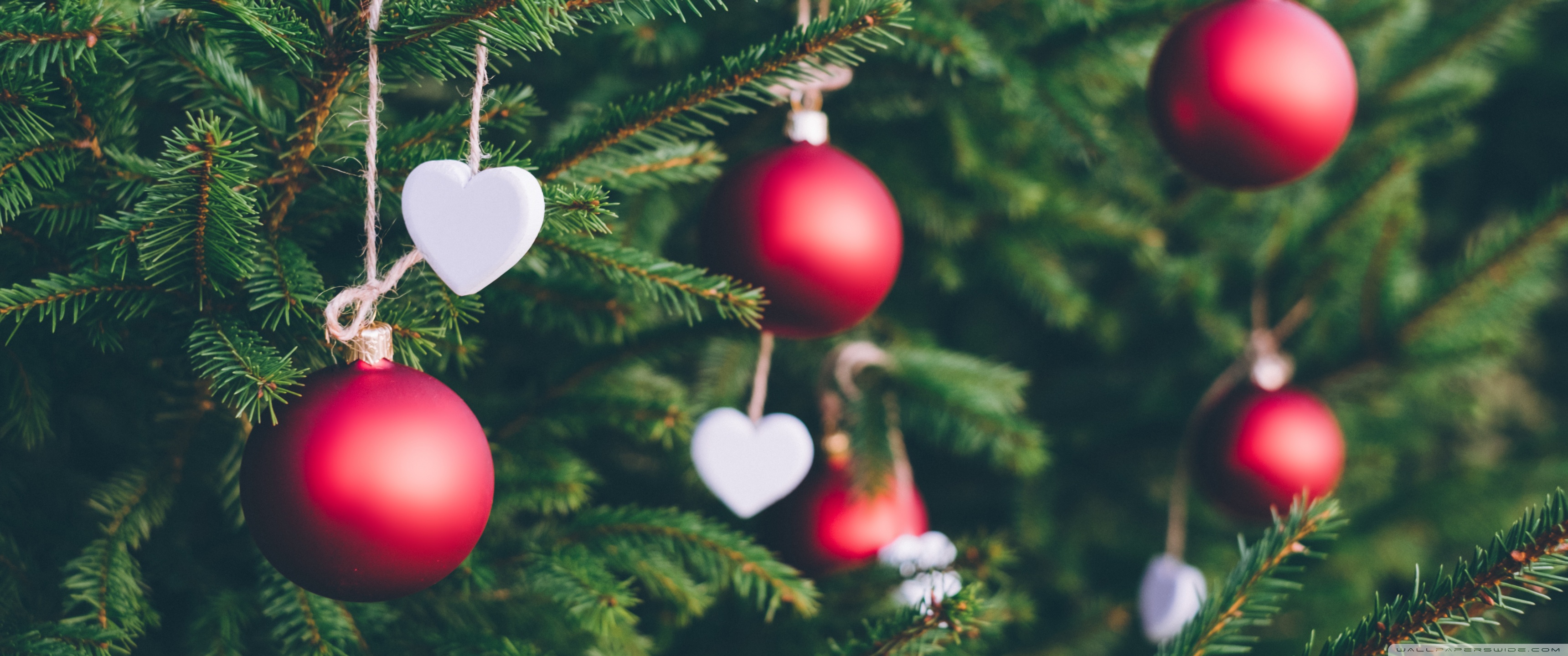 Merry Christmas Ultra HD Desktop Background Wallpaper for 4K UHD TV, Widescreen & UltraWide Desktop & Laptop, Tablet